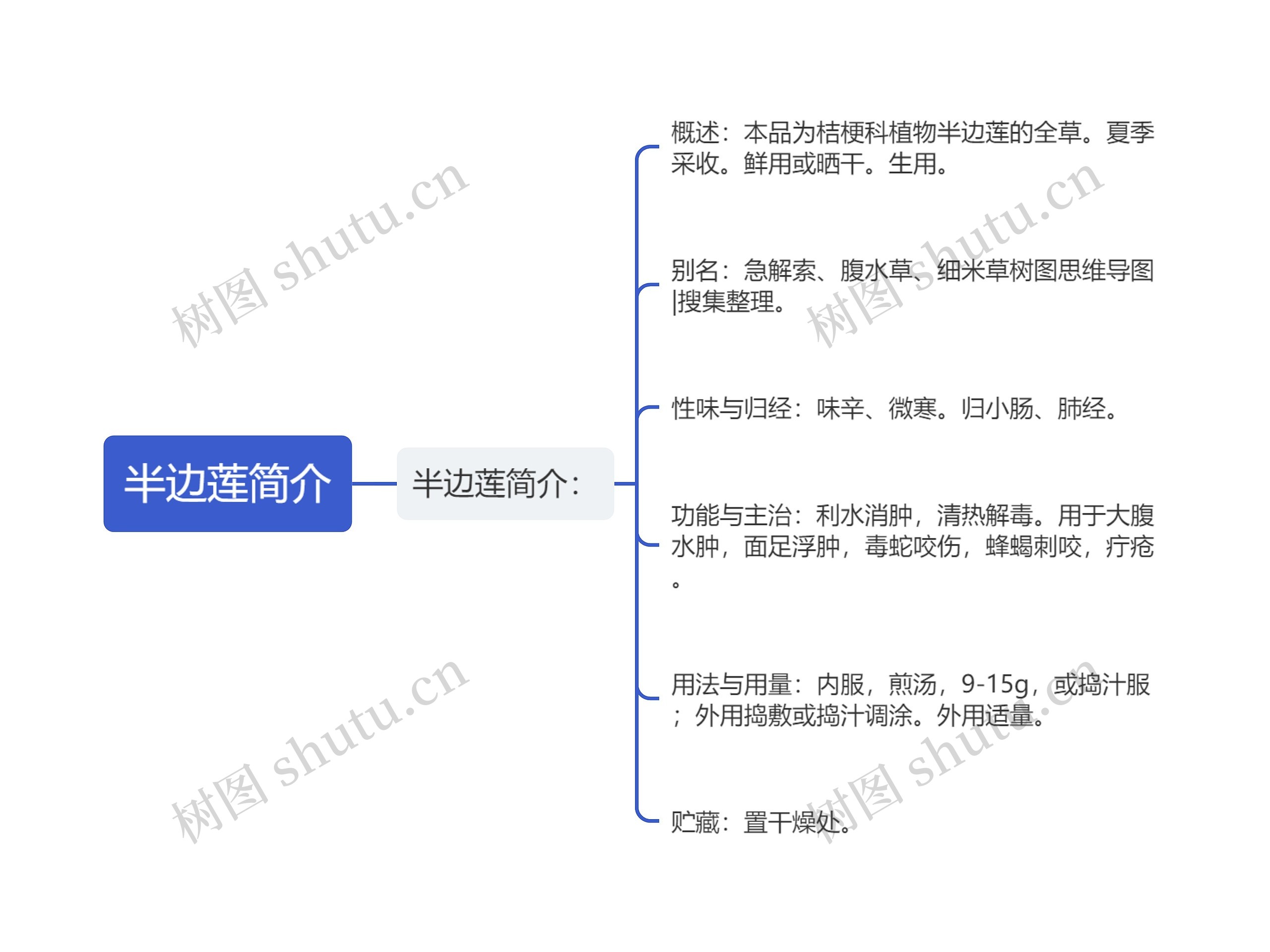 半边莲简介思维导图