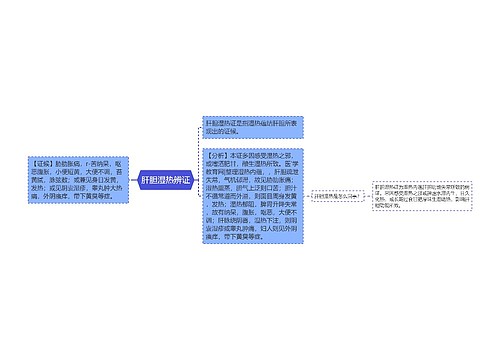 肝胆湿热辨证