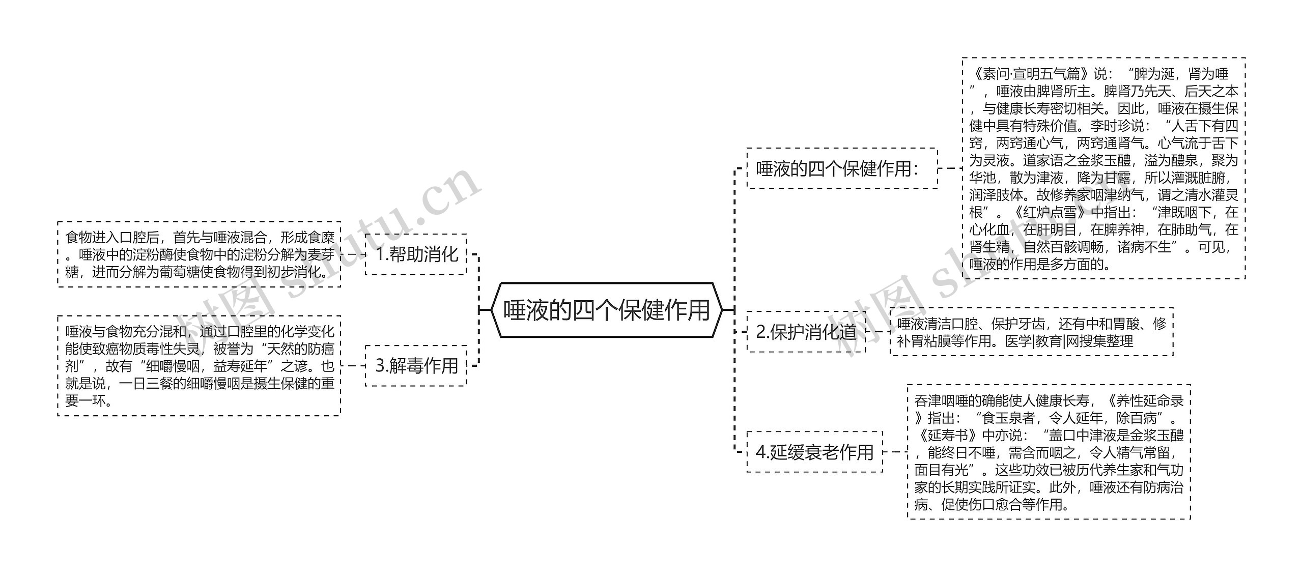 唾液的四个保健作用思维导图