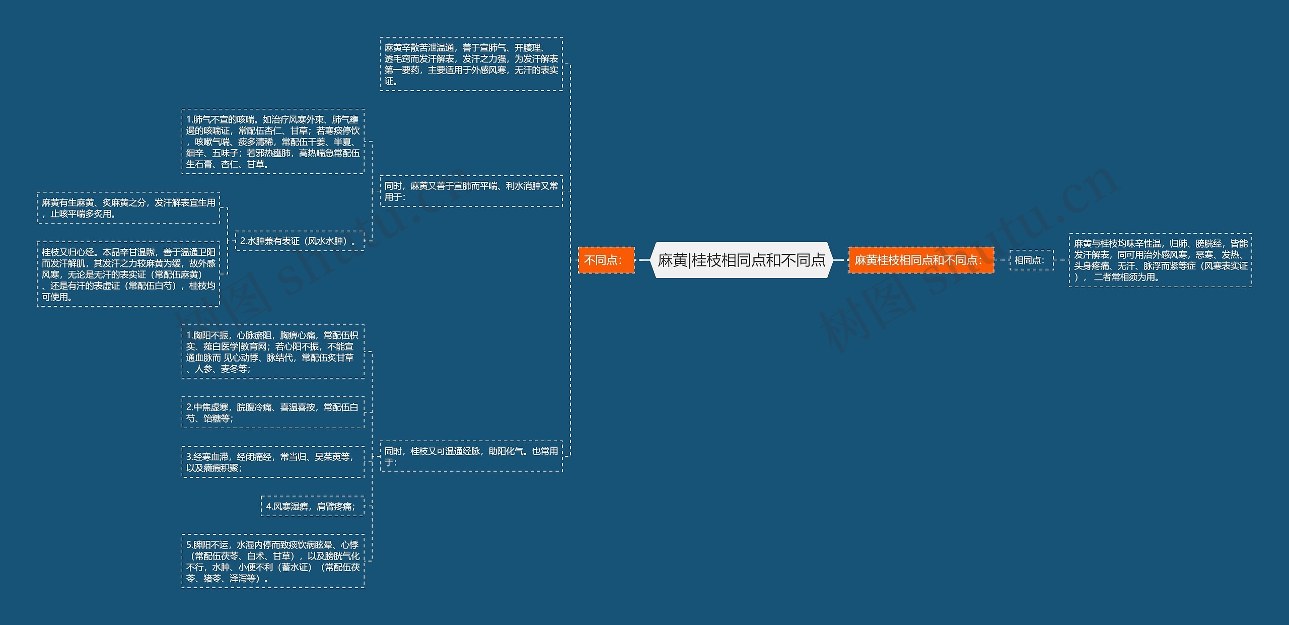 麻黄|桂枝相同点和不同点思维导图
