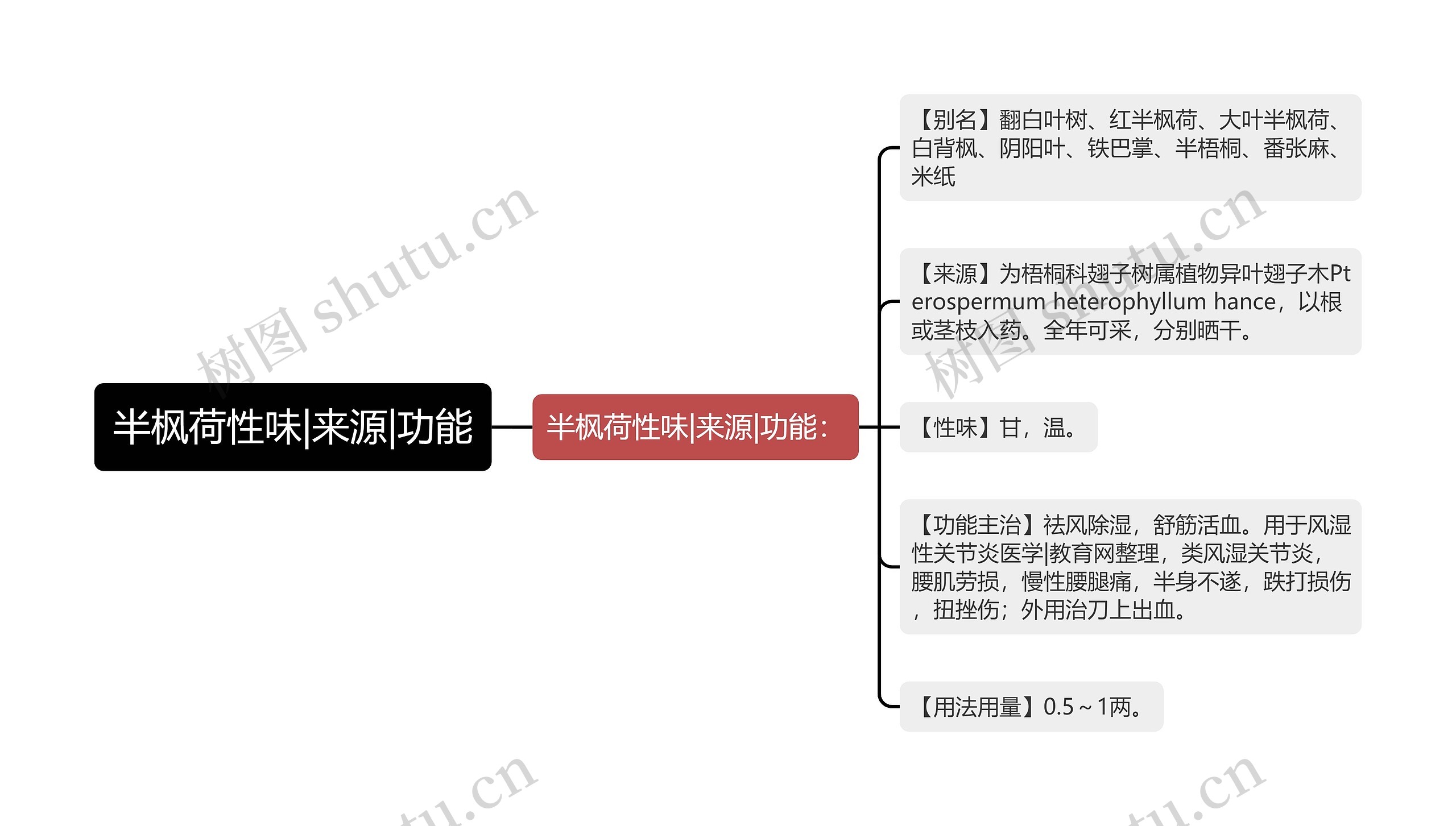 半枫荷性味|来源|功能思维导图