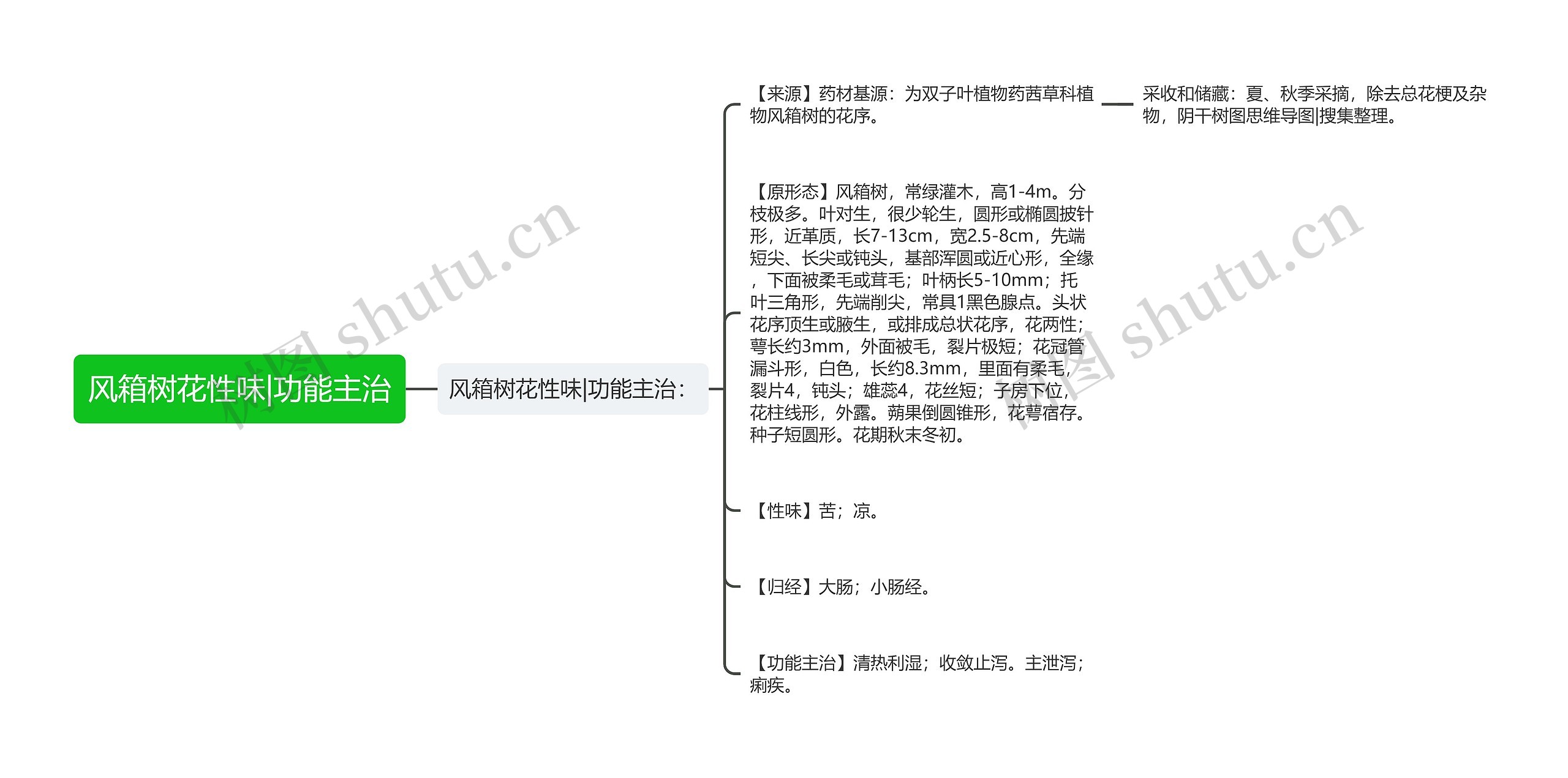 风箱树花性味|功能主治思维导图