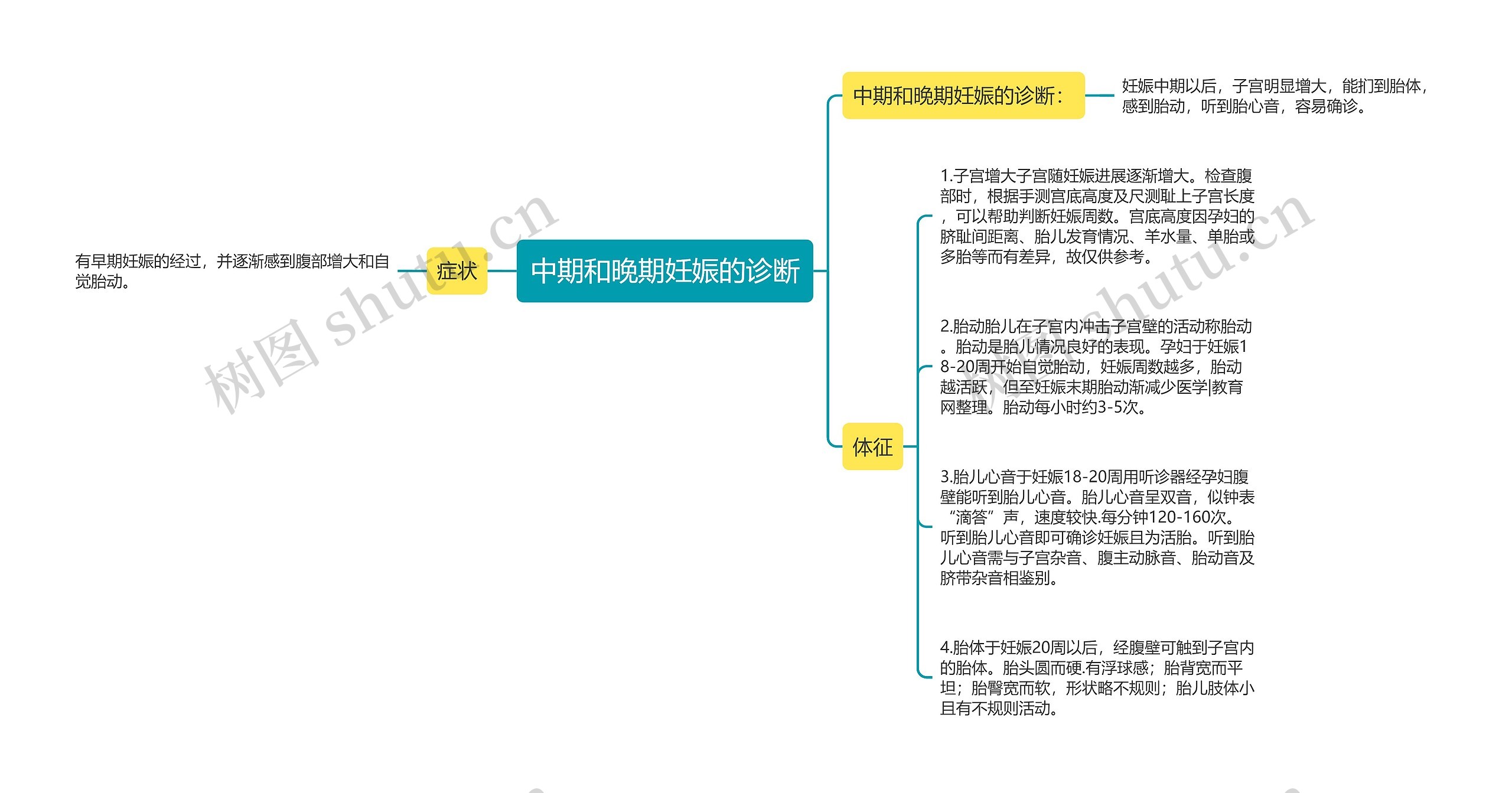 中期和晚期妊娠的诊断