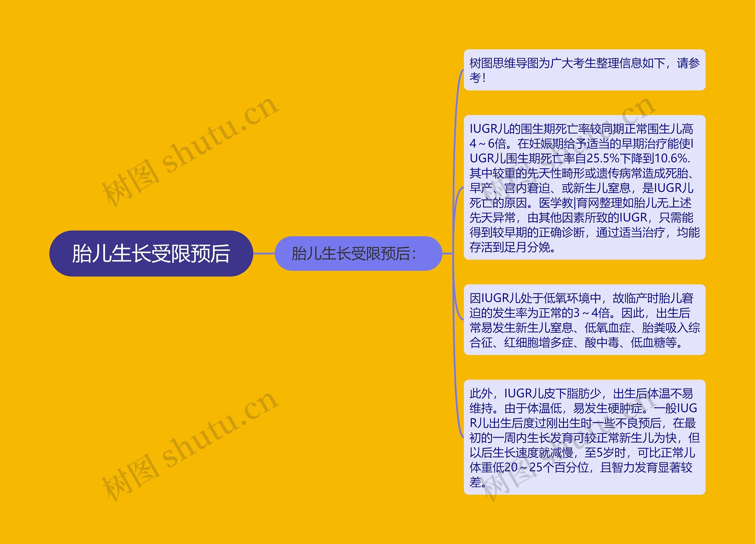 胎儿生长受限预后思维导图