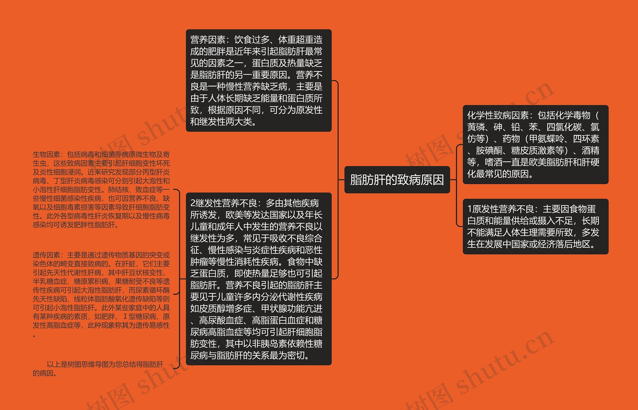 脂肪肝的致病原因 脂肪肝的致病原因