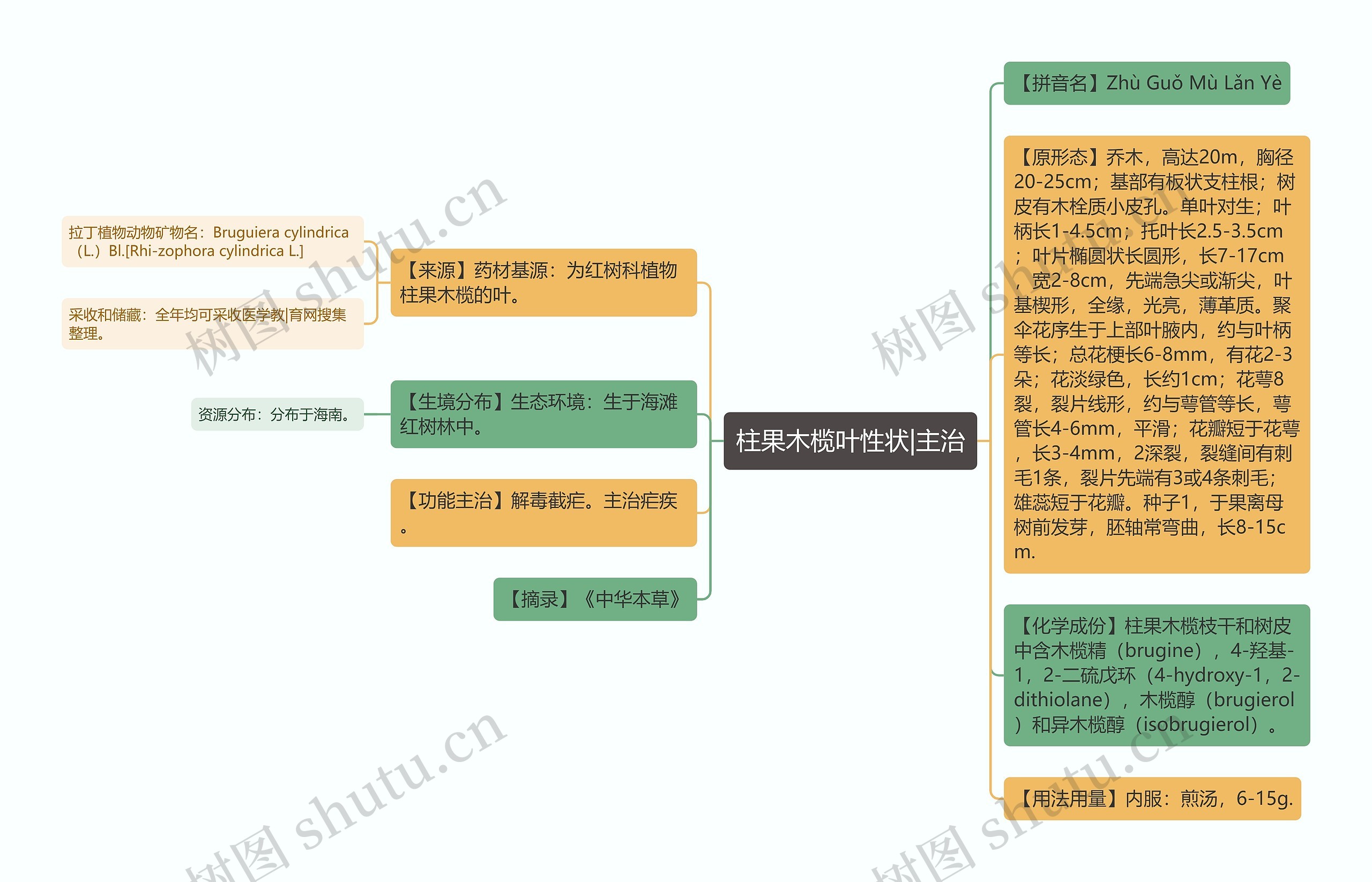 柱果木榄叶性状|主治思维导图