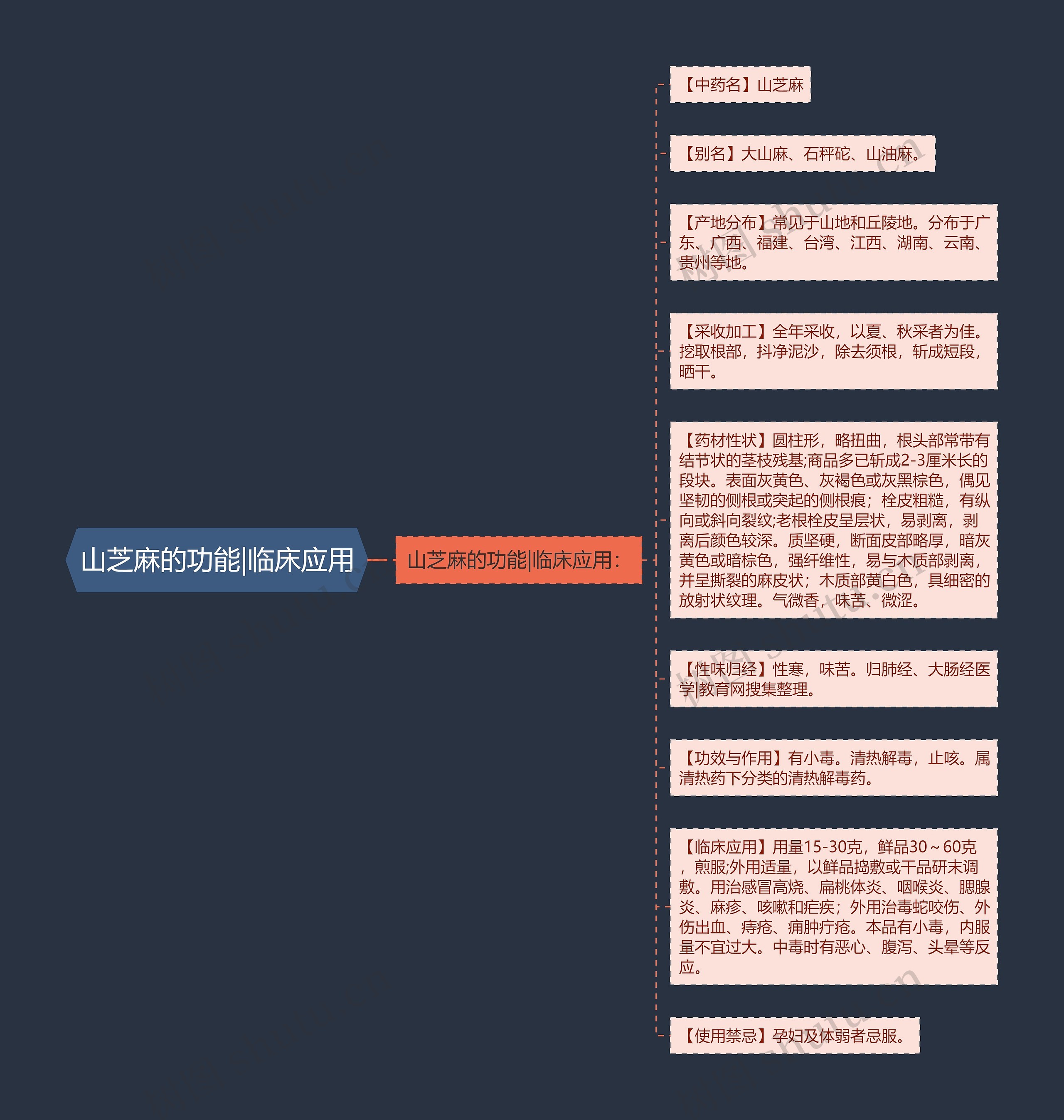 山芝麻的功能|临床应用 山芝麻的功能|临床应用