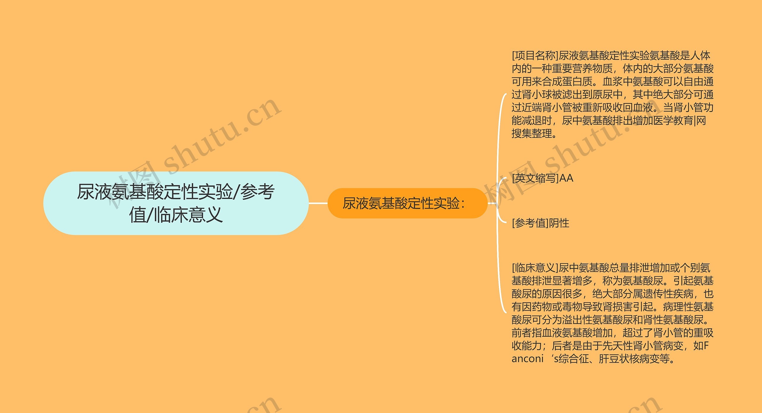 尿液氨基酸定性实验/参考值/临床意义思维导图