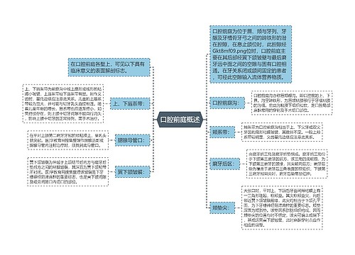 口腔前庭概述