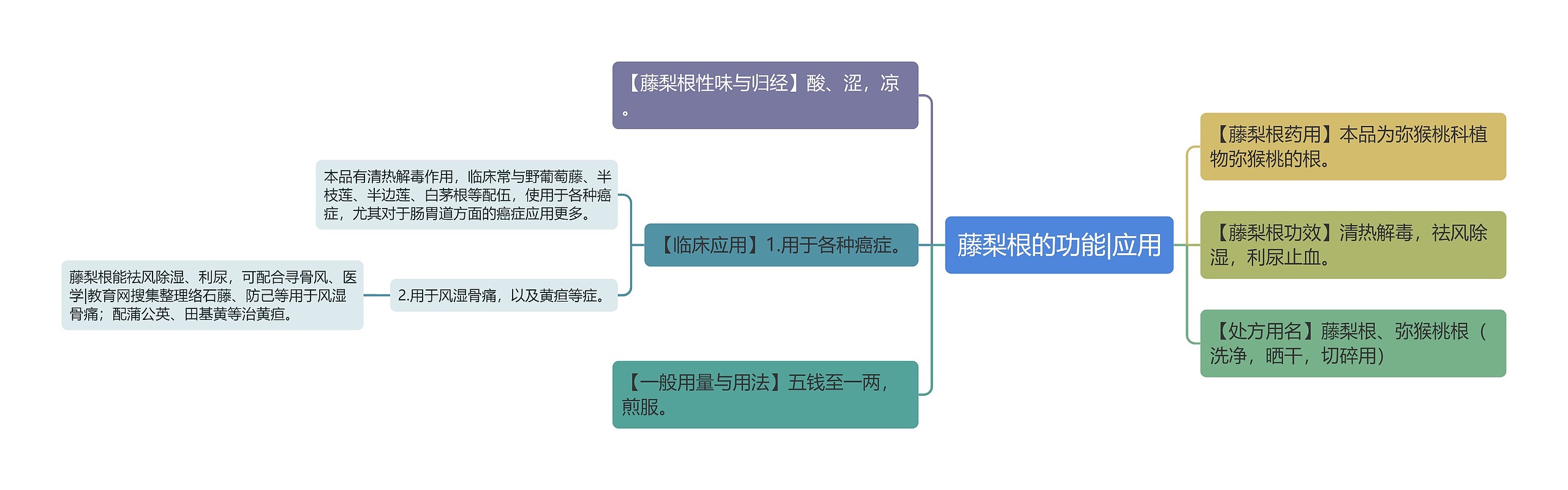 藤梨根的功能|应用