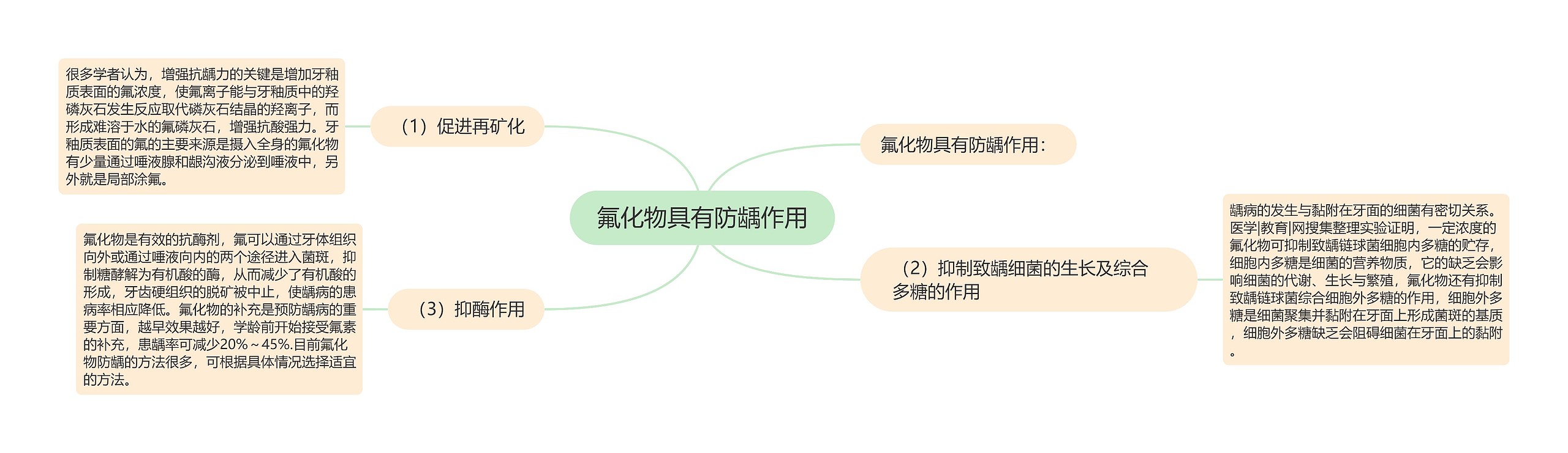 氟化物具有防龋作用思维导图