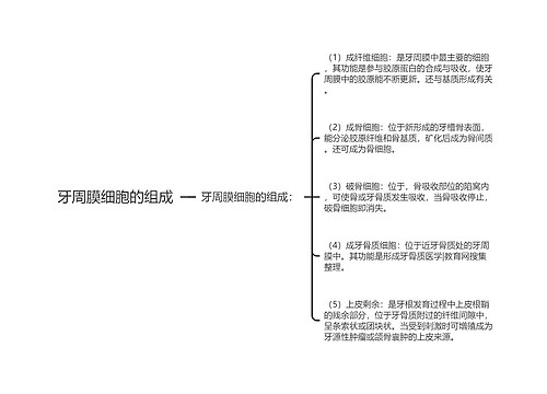 牙周膜细胞的组成