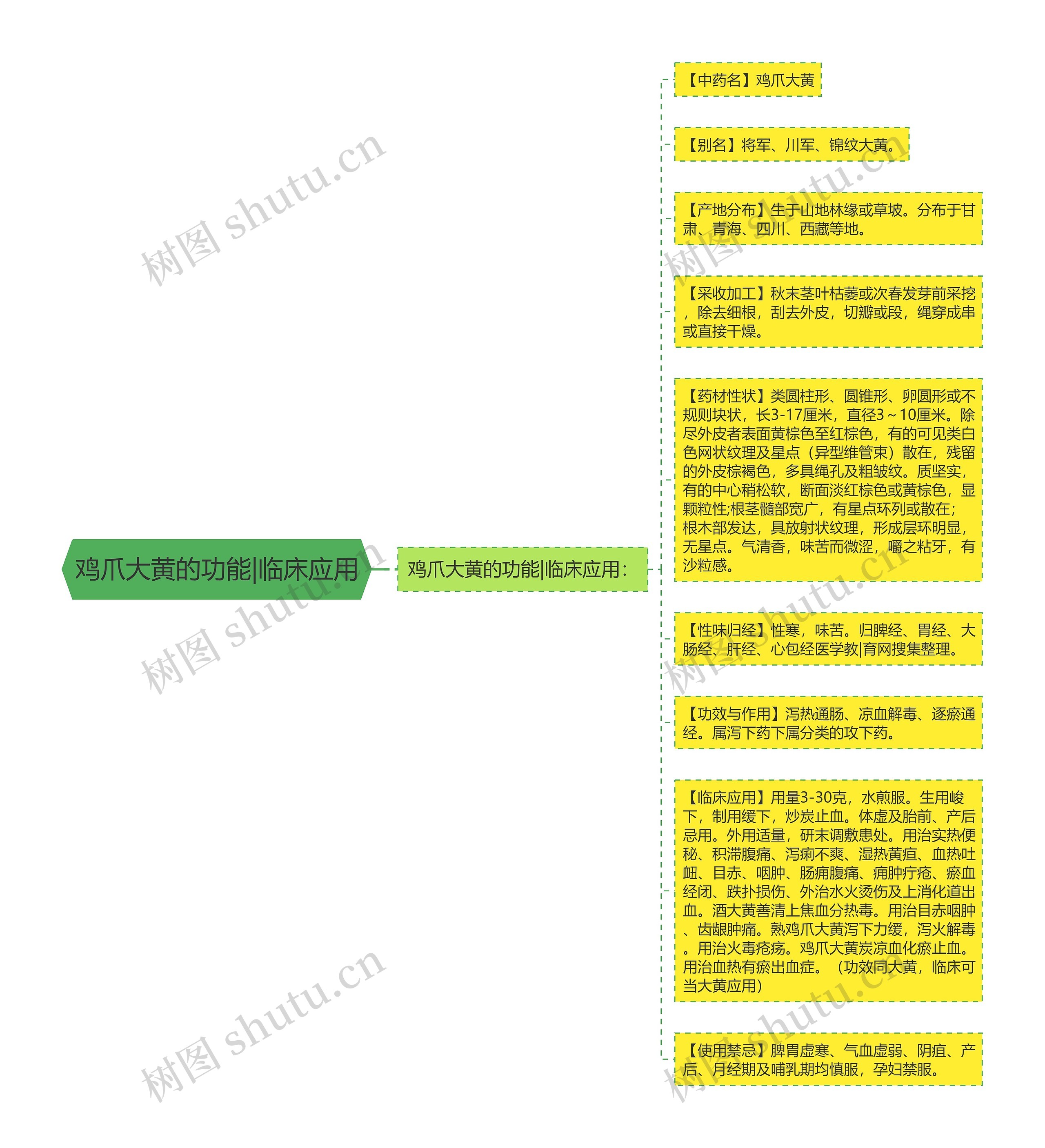 鸡爪大黄的功能|临床应用思维导图