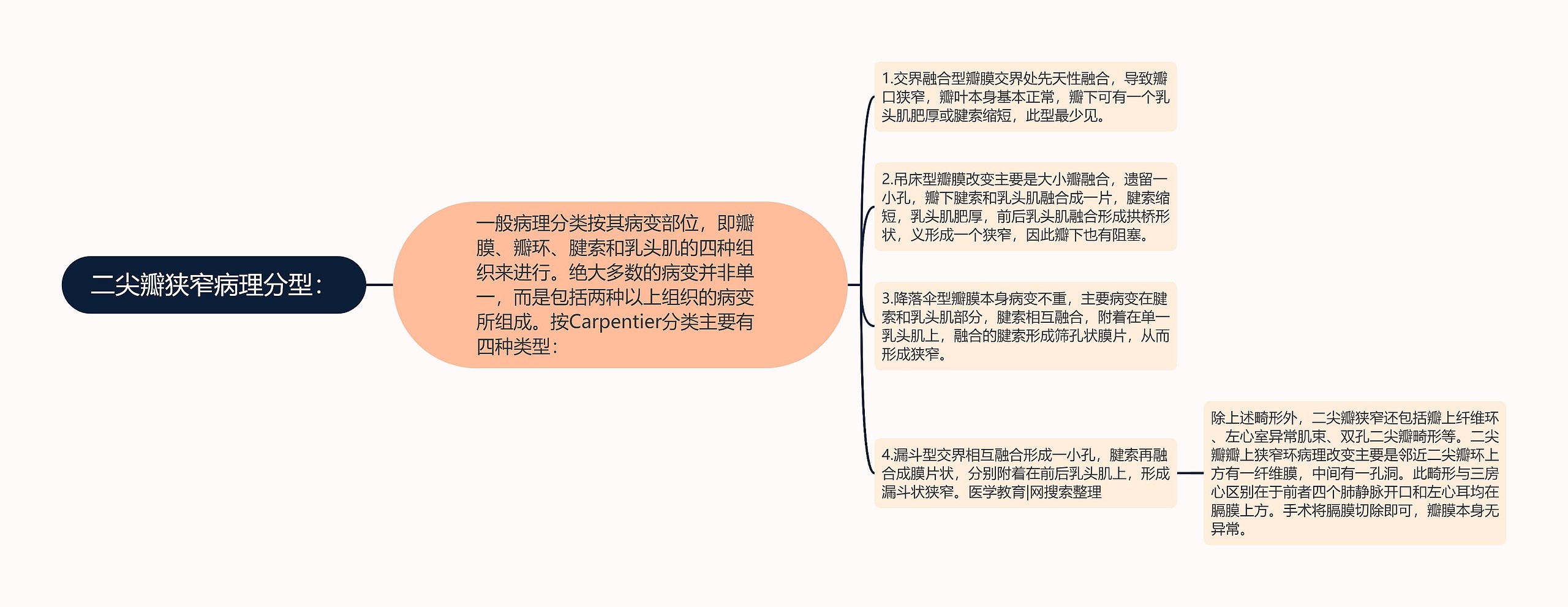 二尖瓣狭窄病理分型：