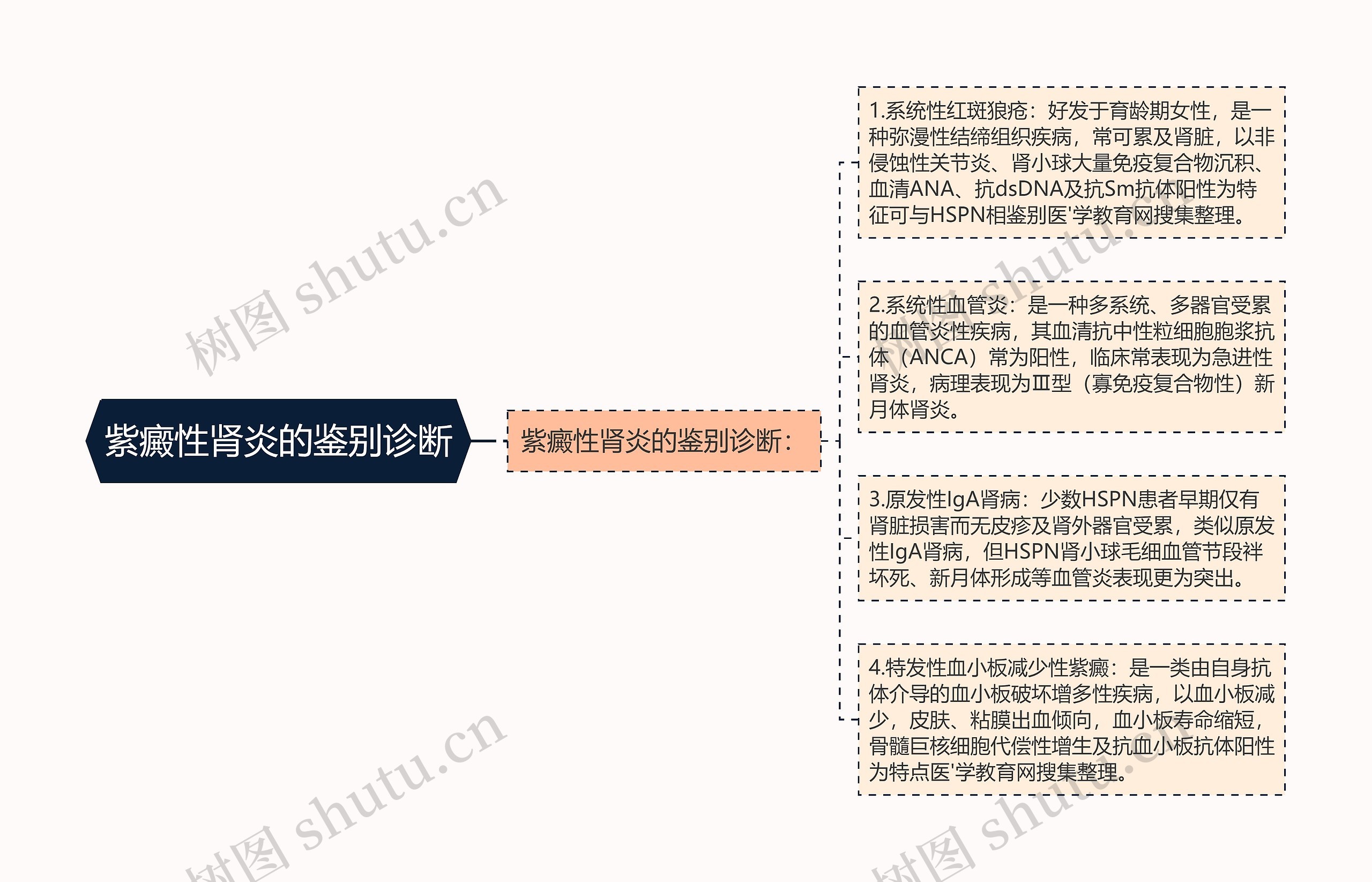 紫癜性肾炎的鉴别诊断