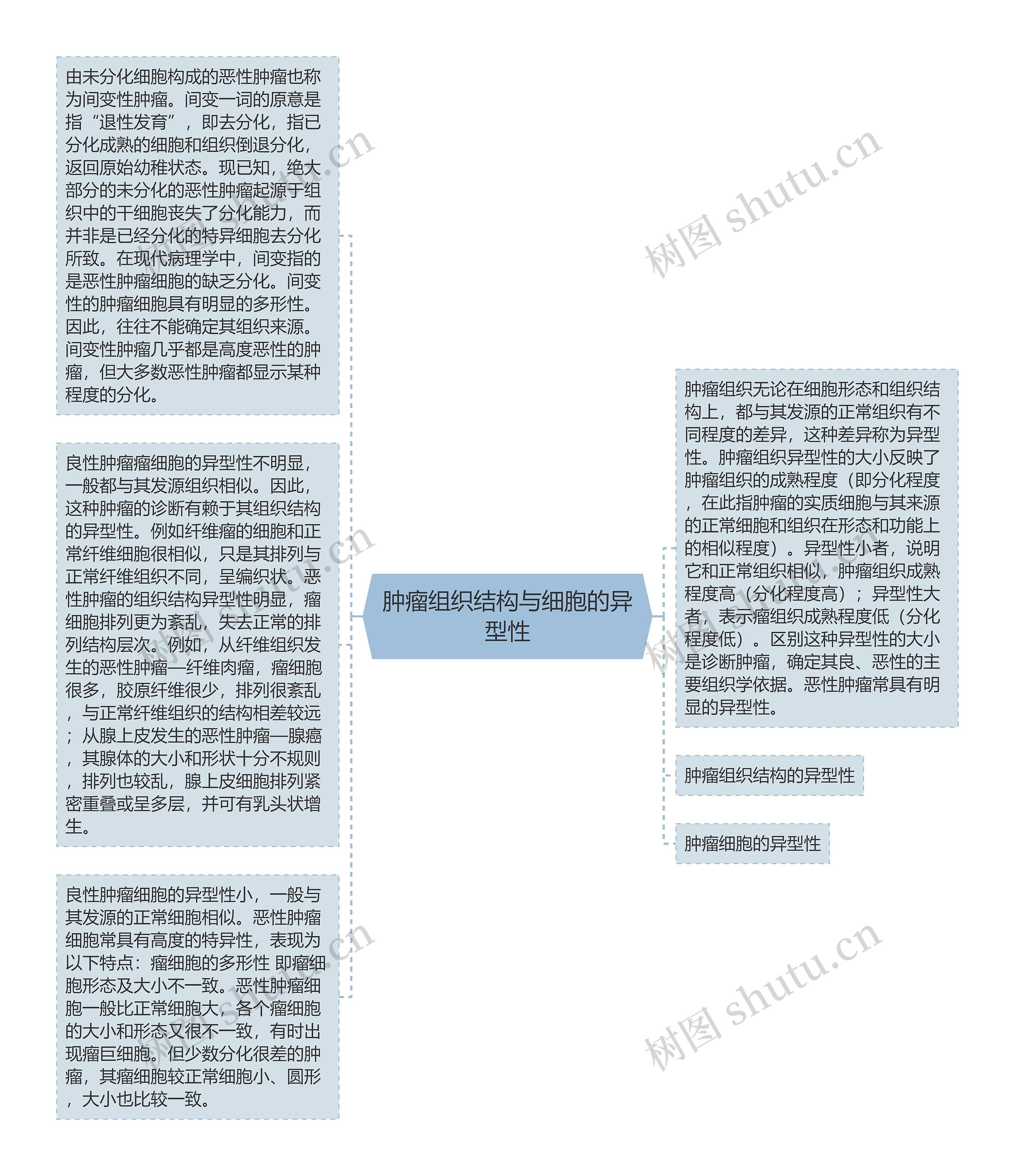 肿瘤组织结构与细胞的异型性