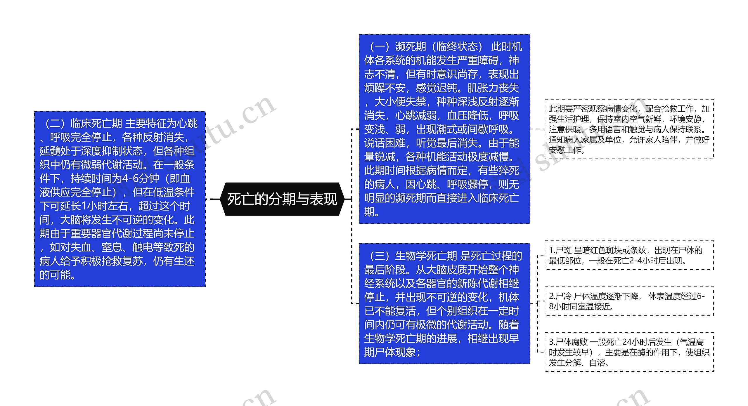 死亡的分期与表现思维导图