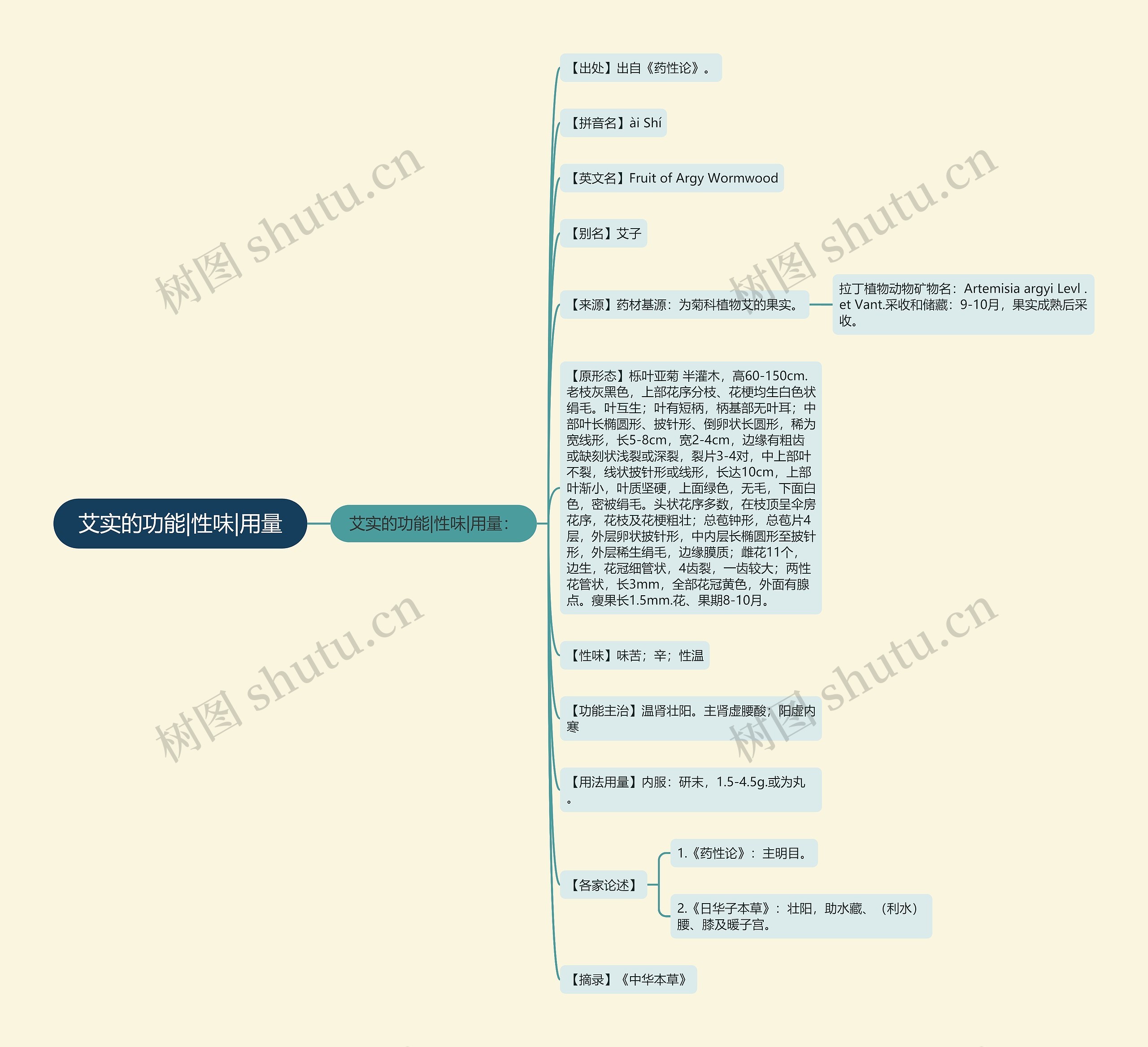 艾实的功能|性味|用量 艾实的功能|性味|用量