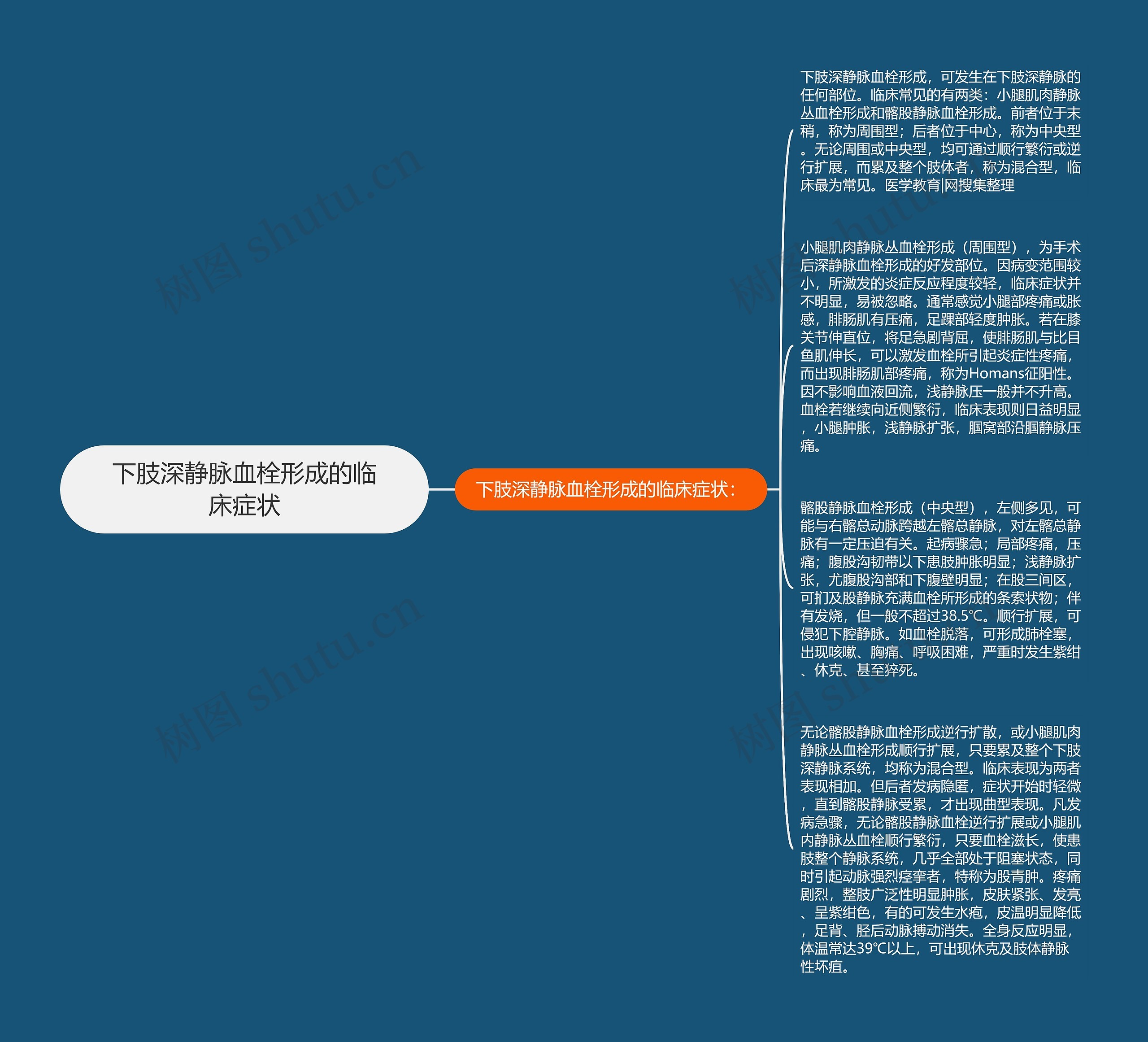 下肢深静脉血栓形成的临床症状思维导图