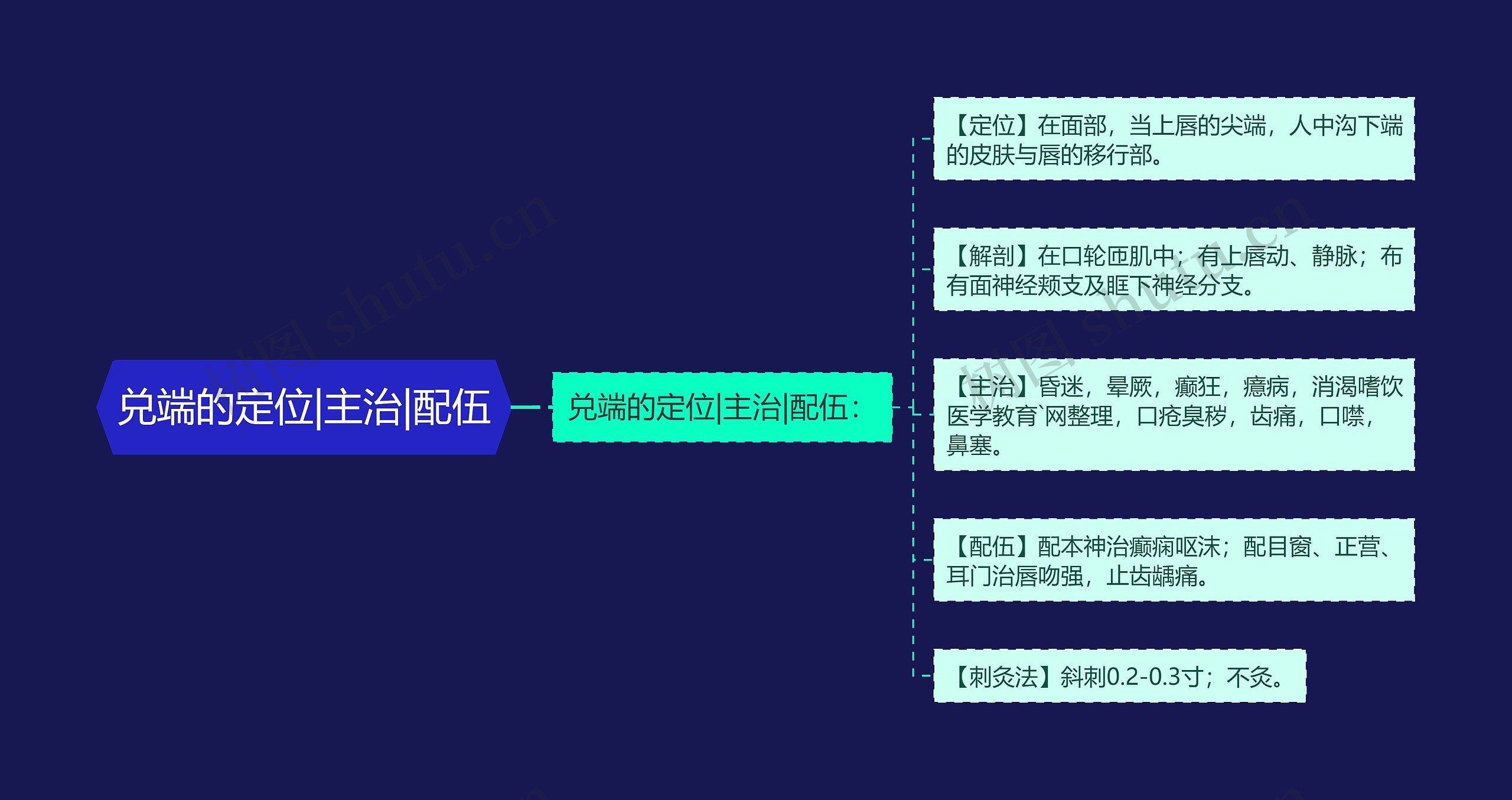 兑端的定位|主治|配伍思维导图