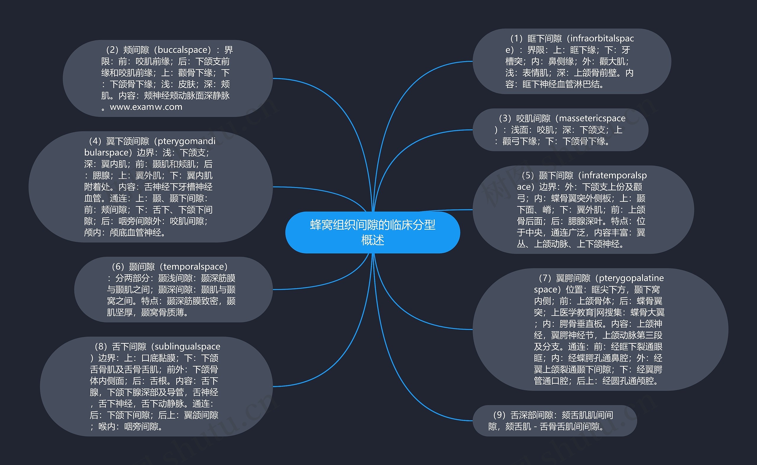 蜂窝组织间隙的临床分型概述思维导图