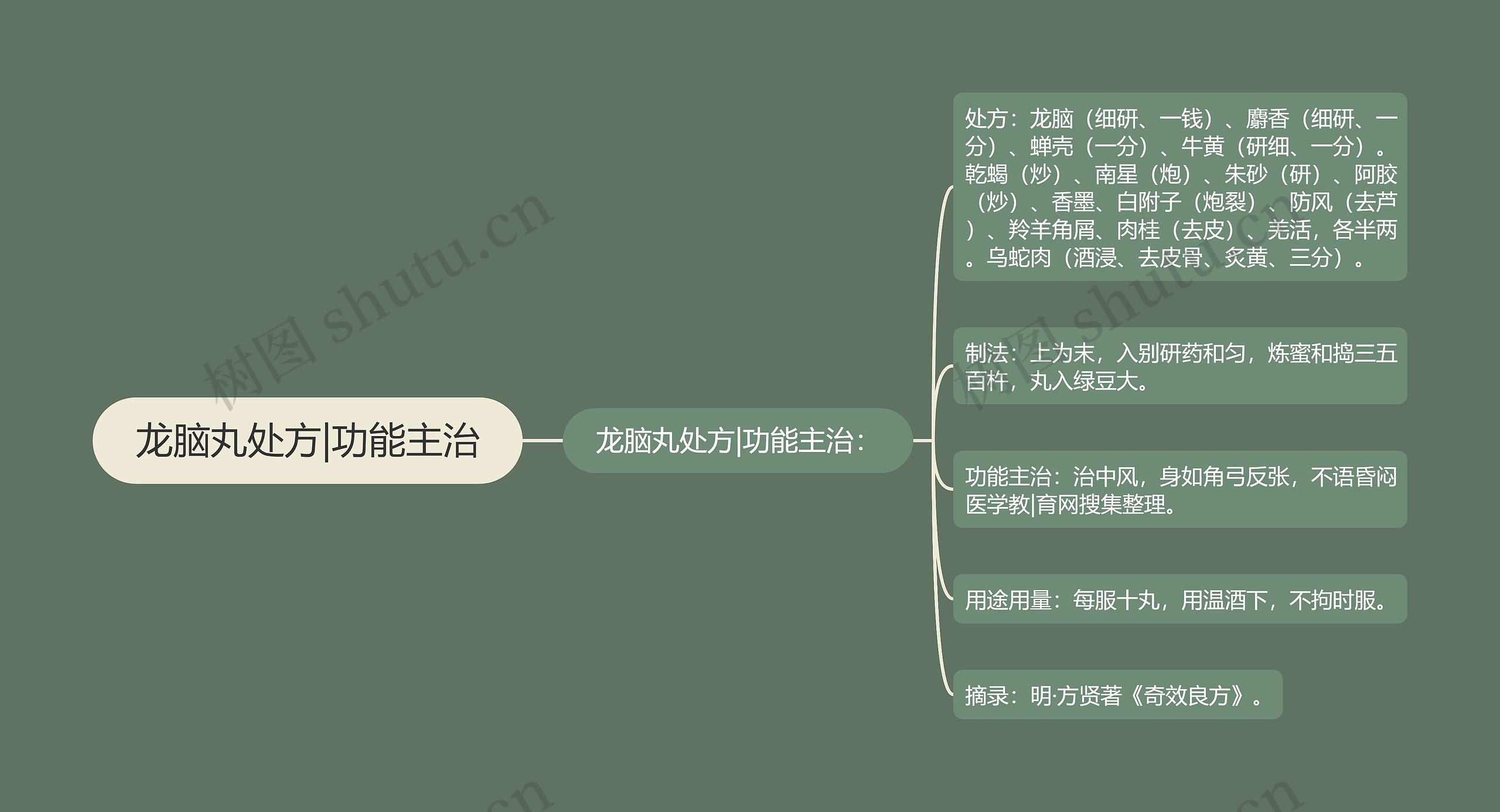 龙脑丸处方|功能主治思维导图