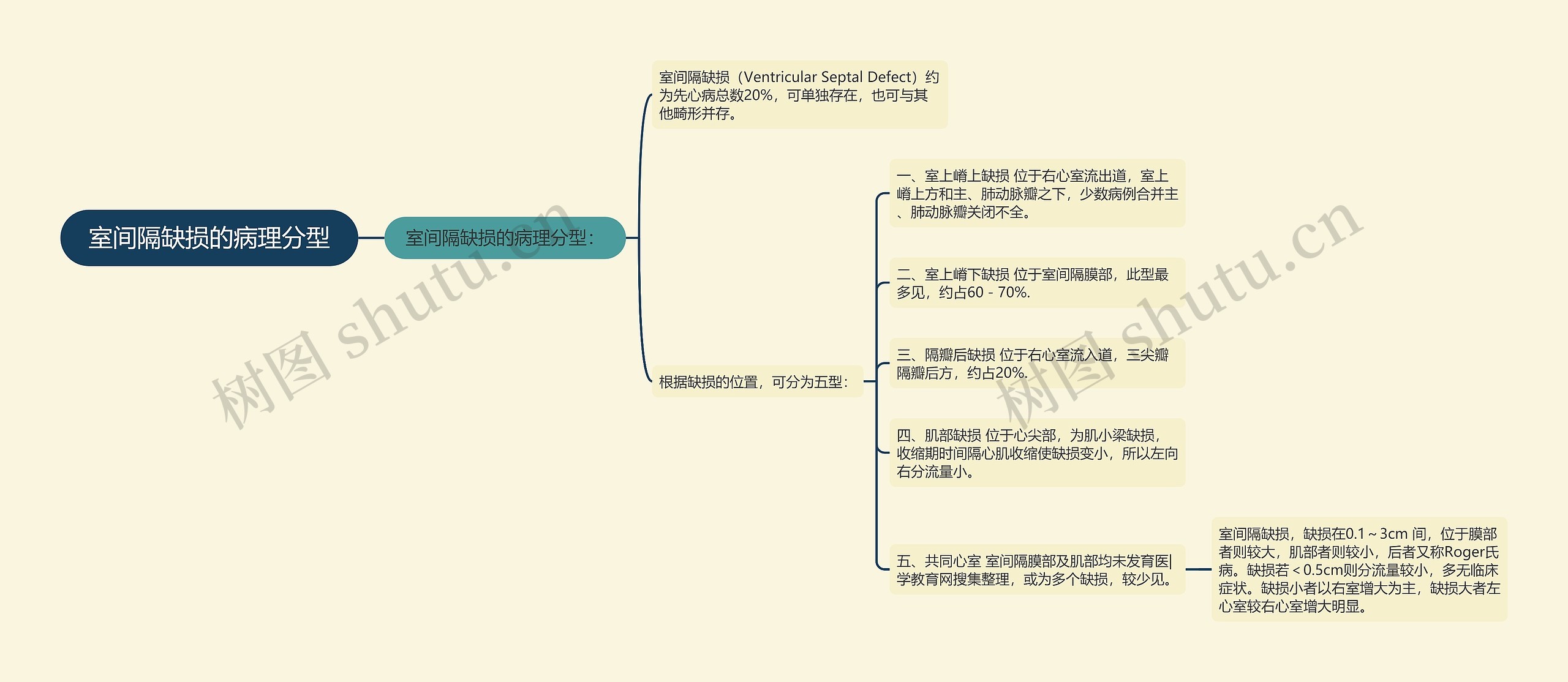 室间隔缺损的病理分型 室间隔缺损的病理分型
