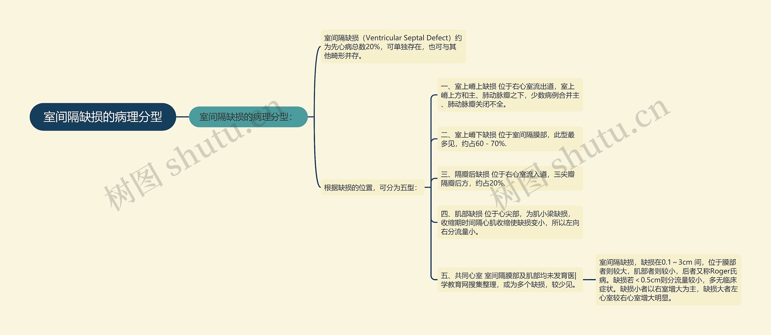 室间隔缺损的病理分型思维导图