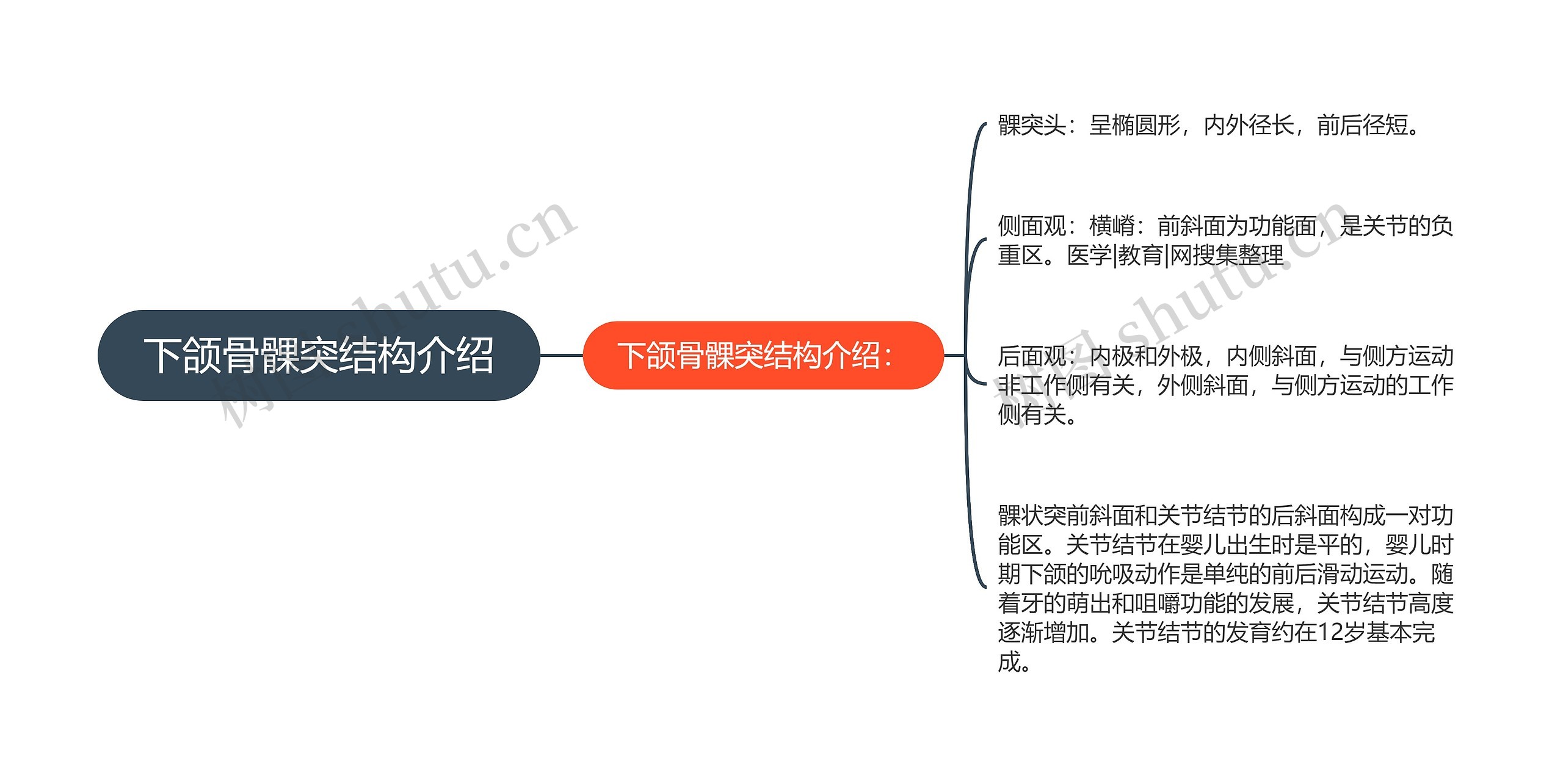 下颌骨髁突结构介绍思维导图