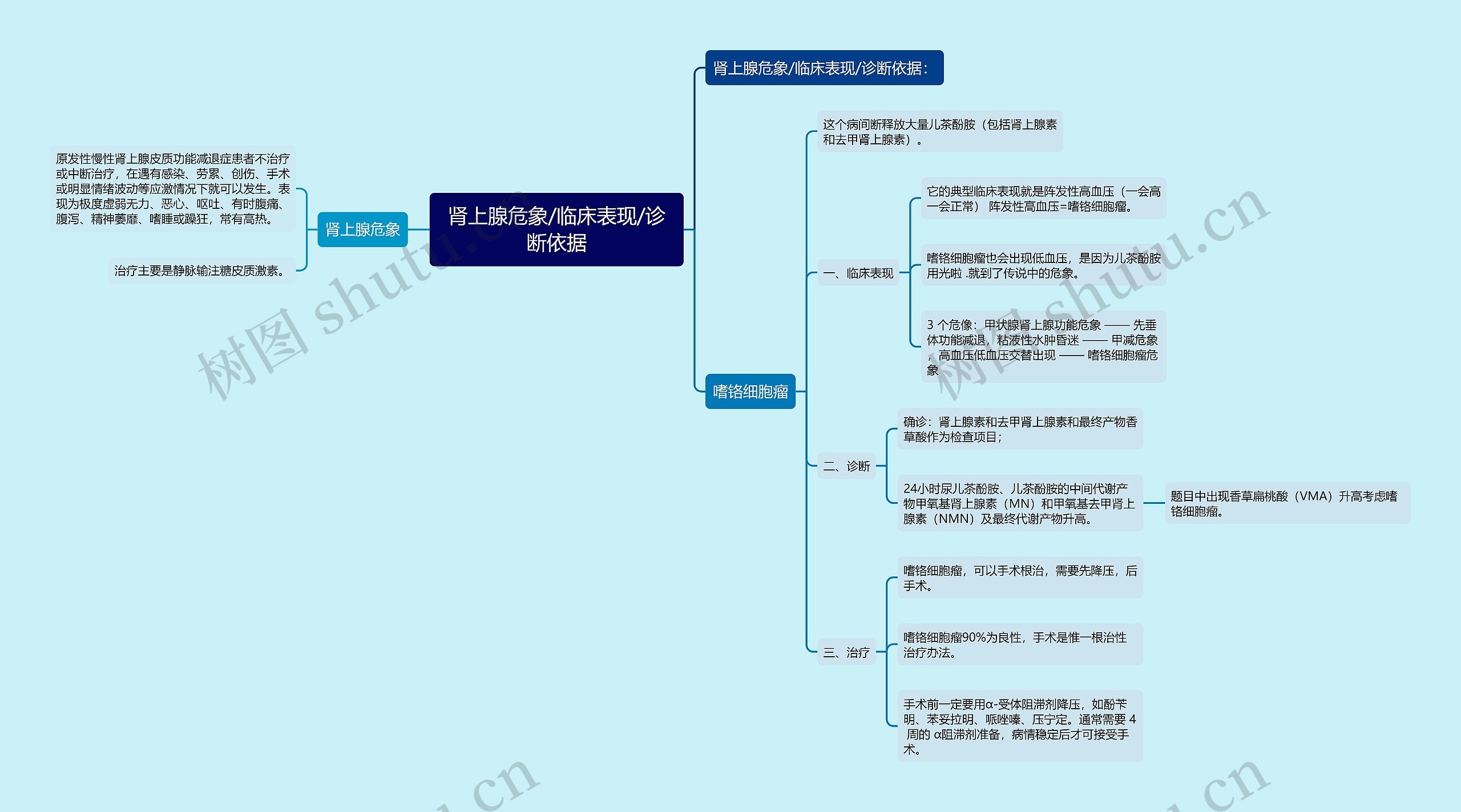 肾上腺危象/临床表现/诊断依据