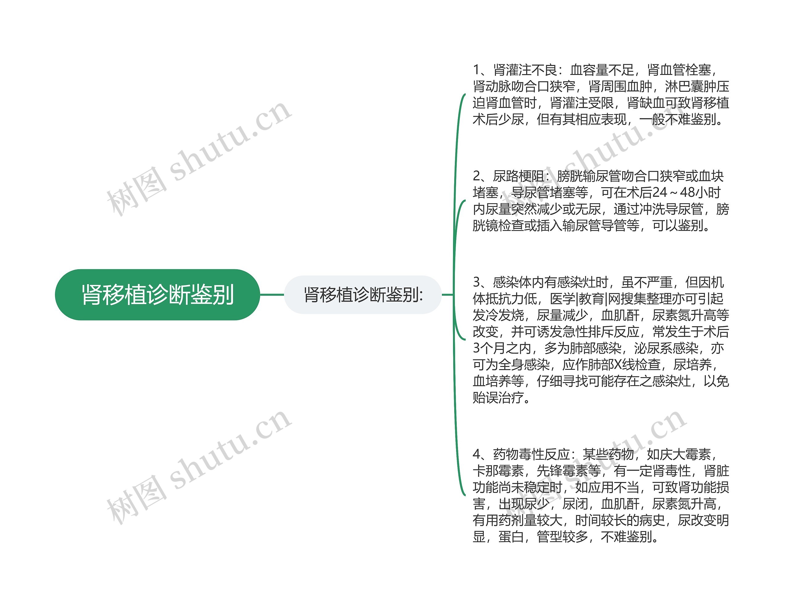 肾移植诊断鉴别思维导图