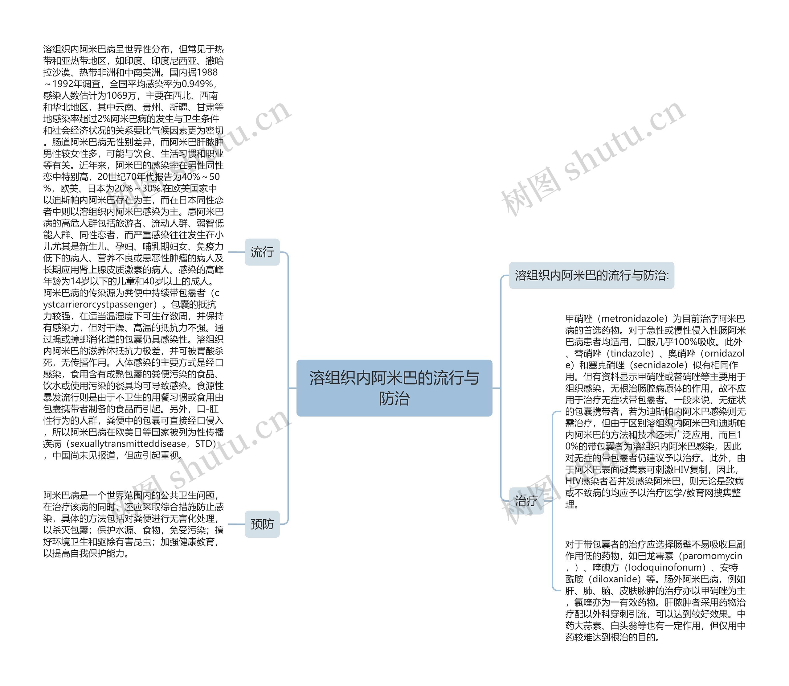 溶组织内阿米巴的流行与防治思维导图