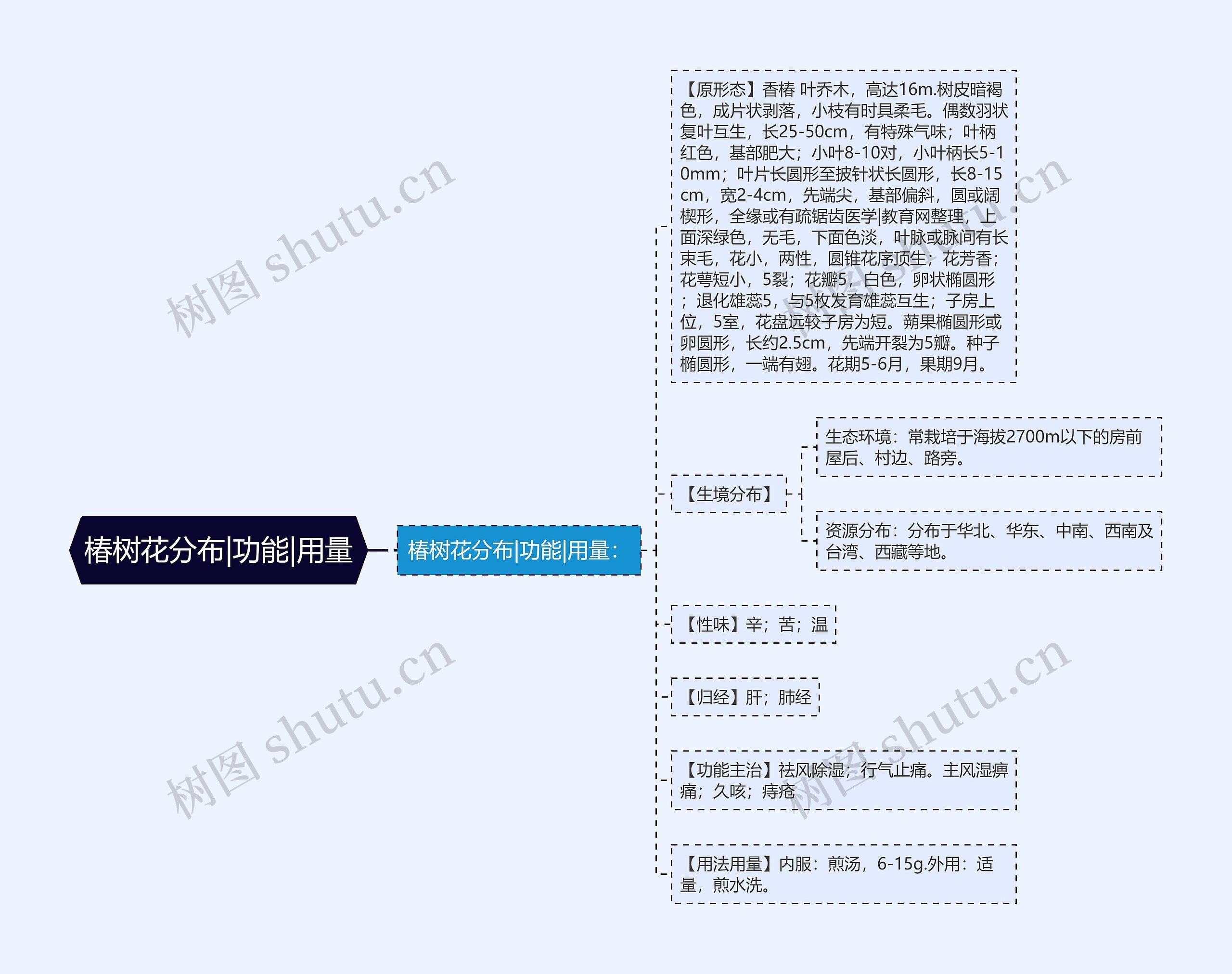 椿树花分布|功能|用量思维导图