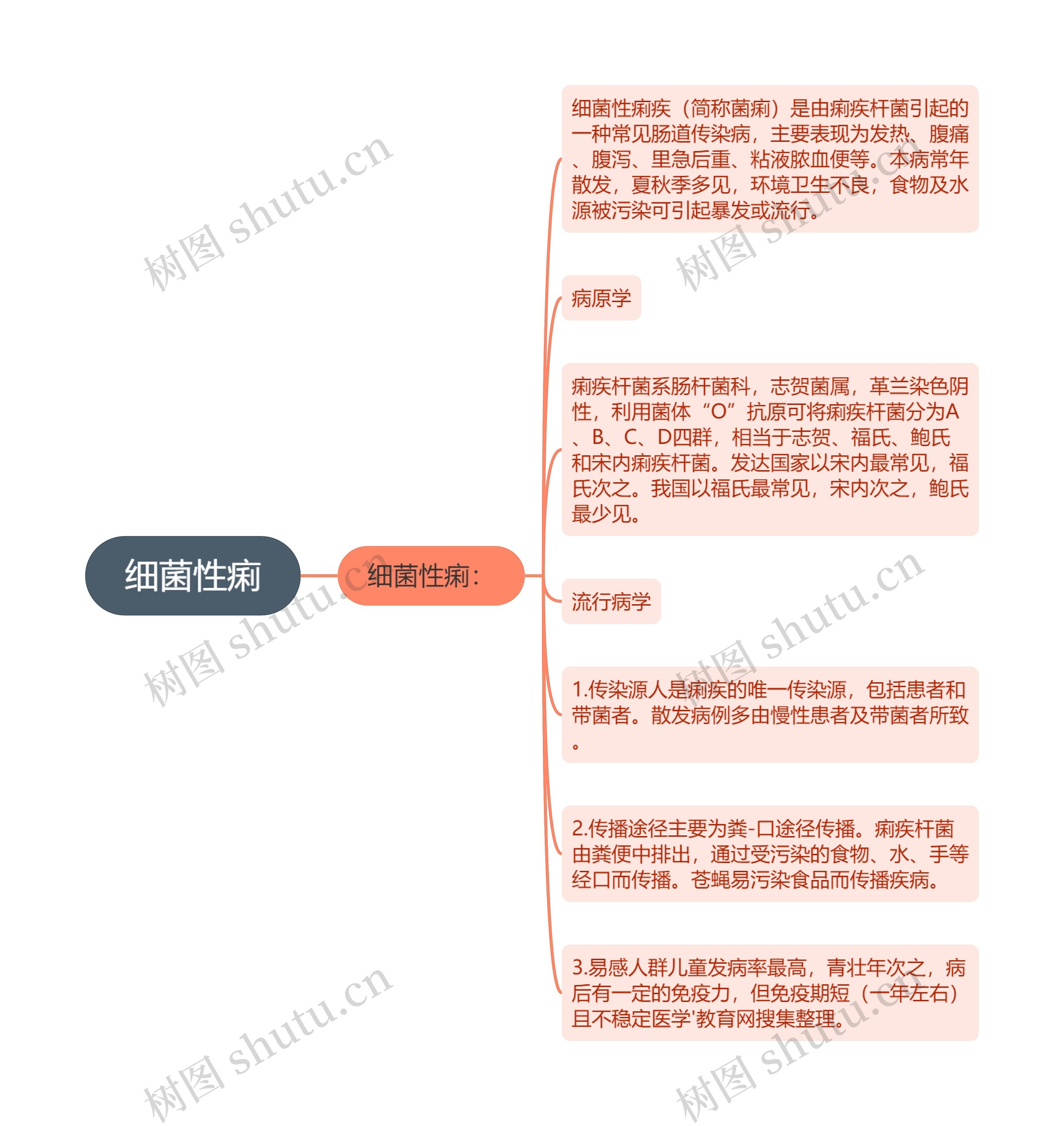 细菌性痢思维导图