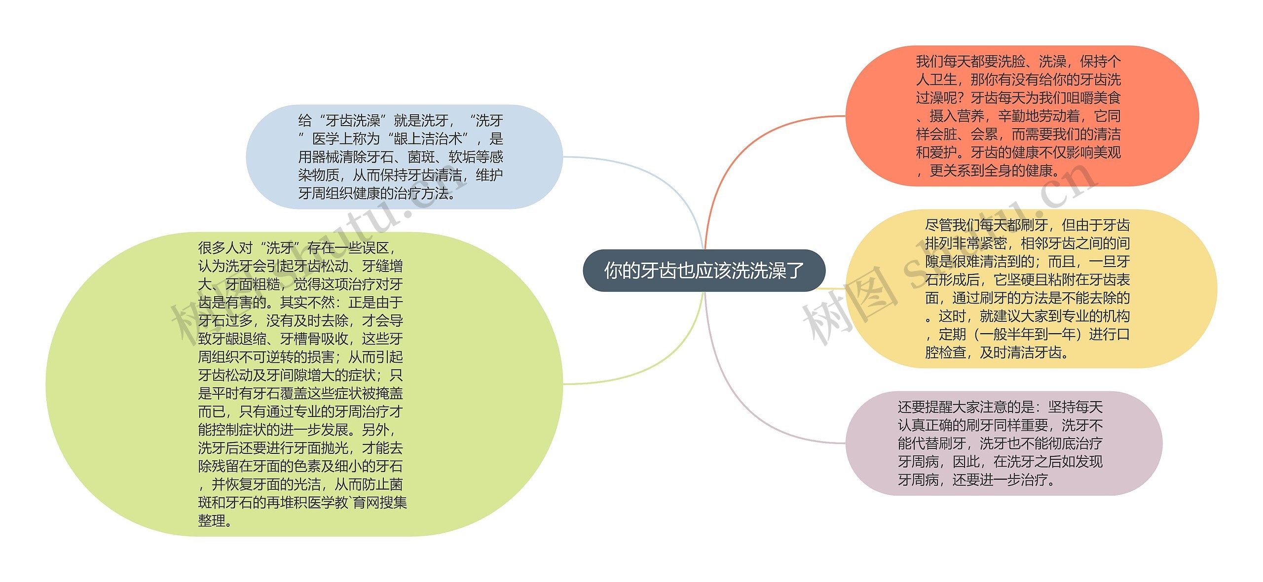 你的牙齿也应该洗洗澡了思维导图