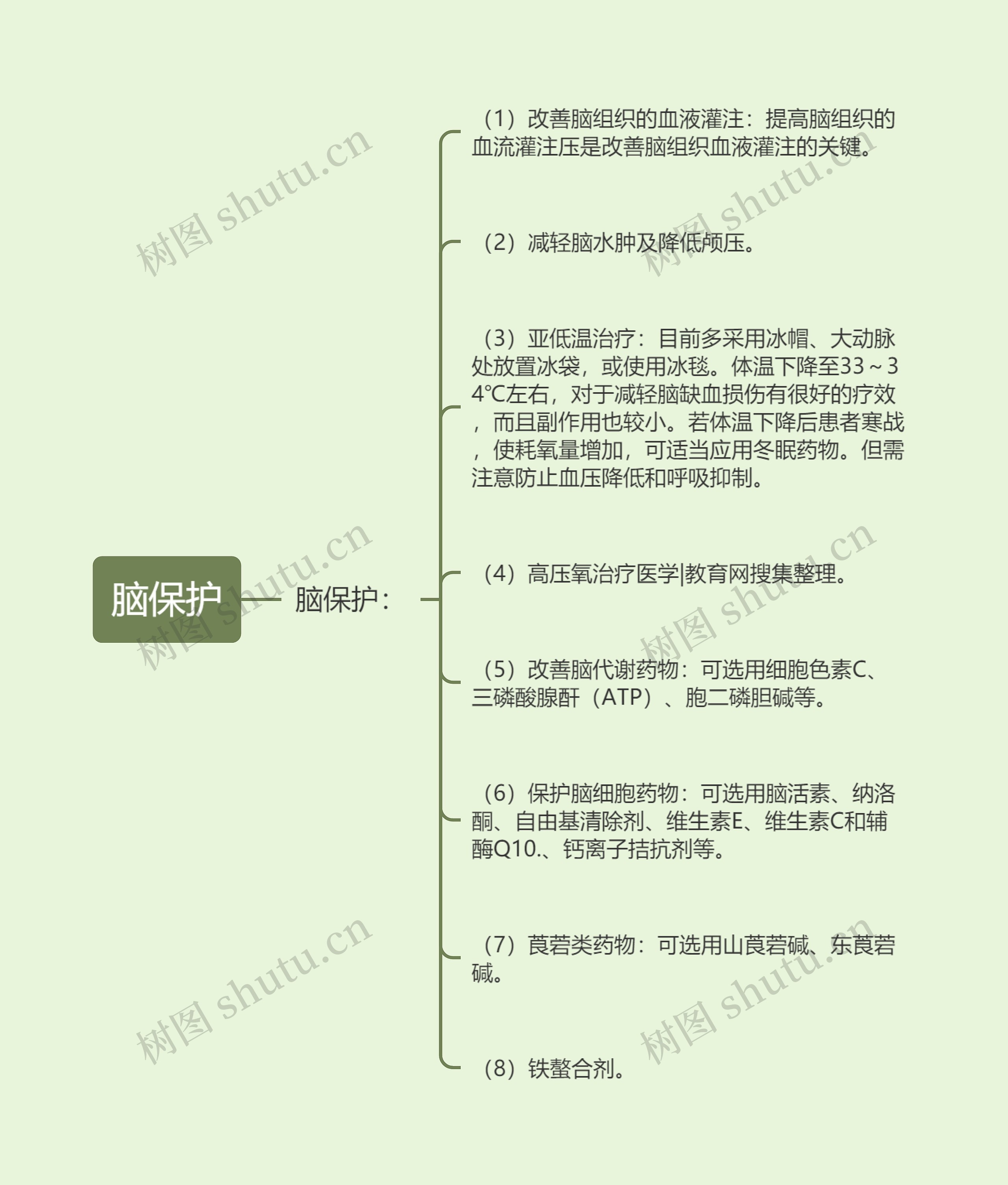 脑保护思维导图