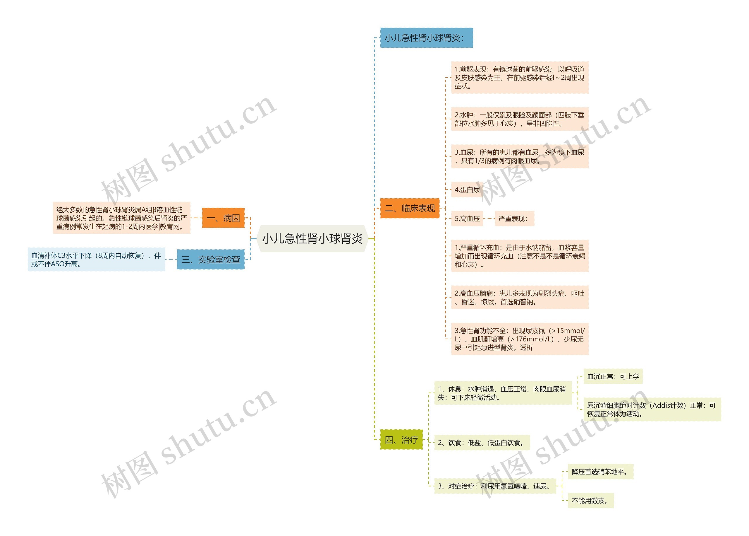 小儿急性肾小球肾炎思维导图