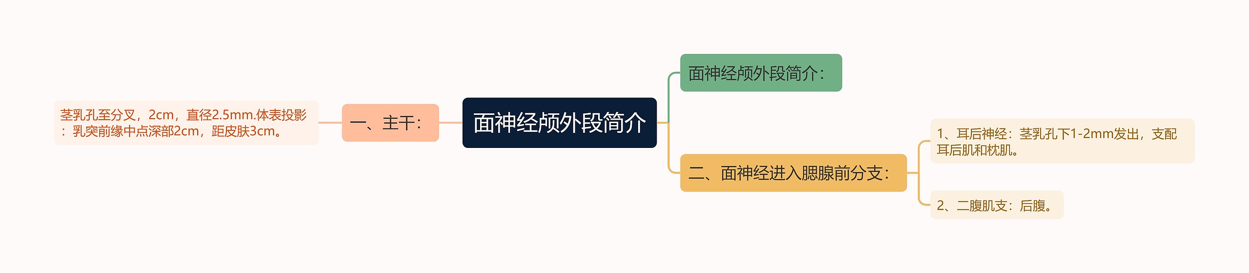 面神经颅外段简介思维导图