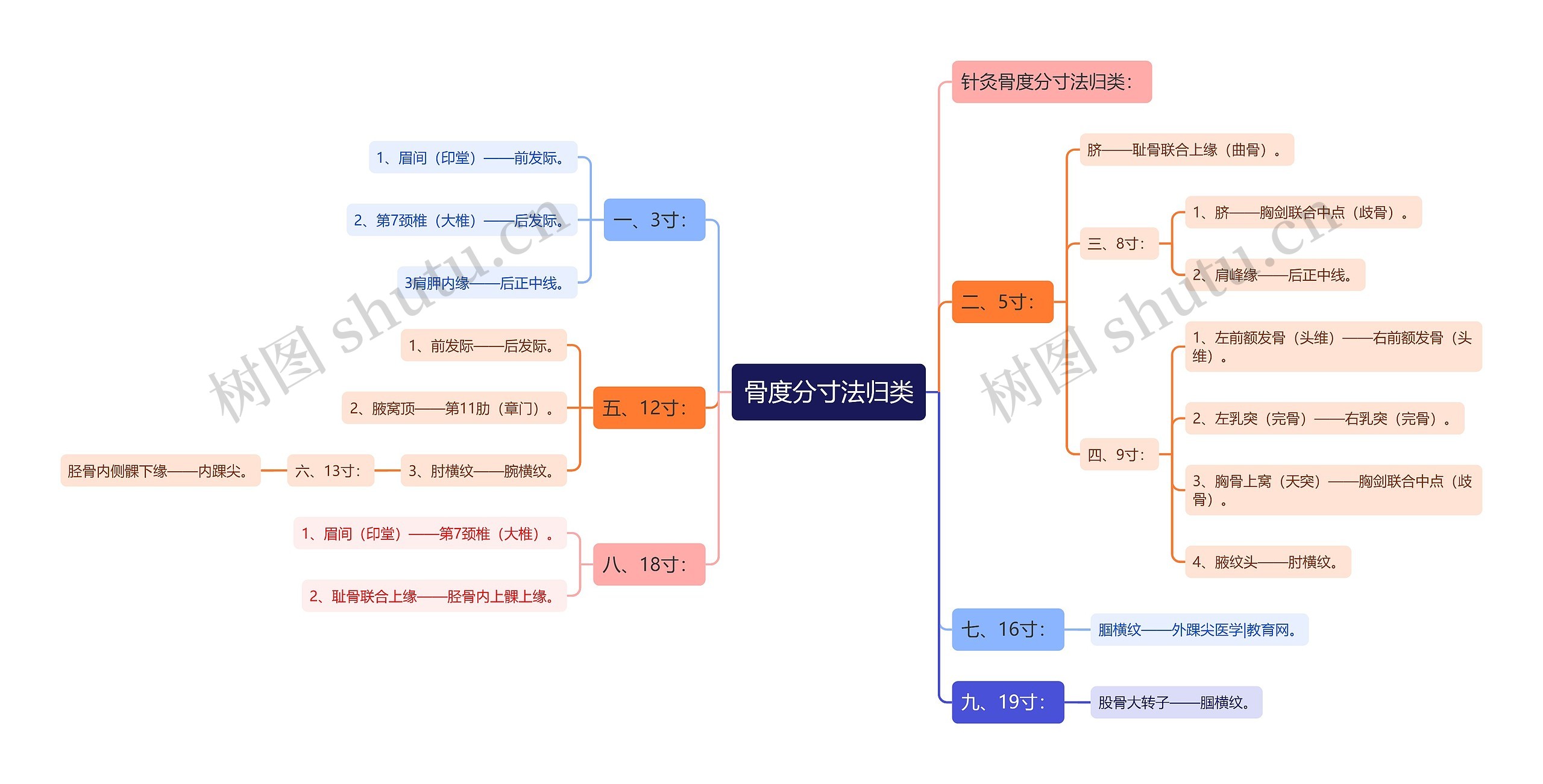 骨度分寸法归类