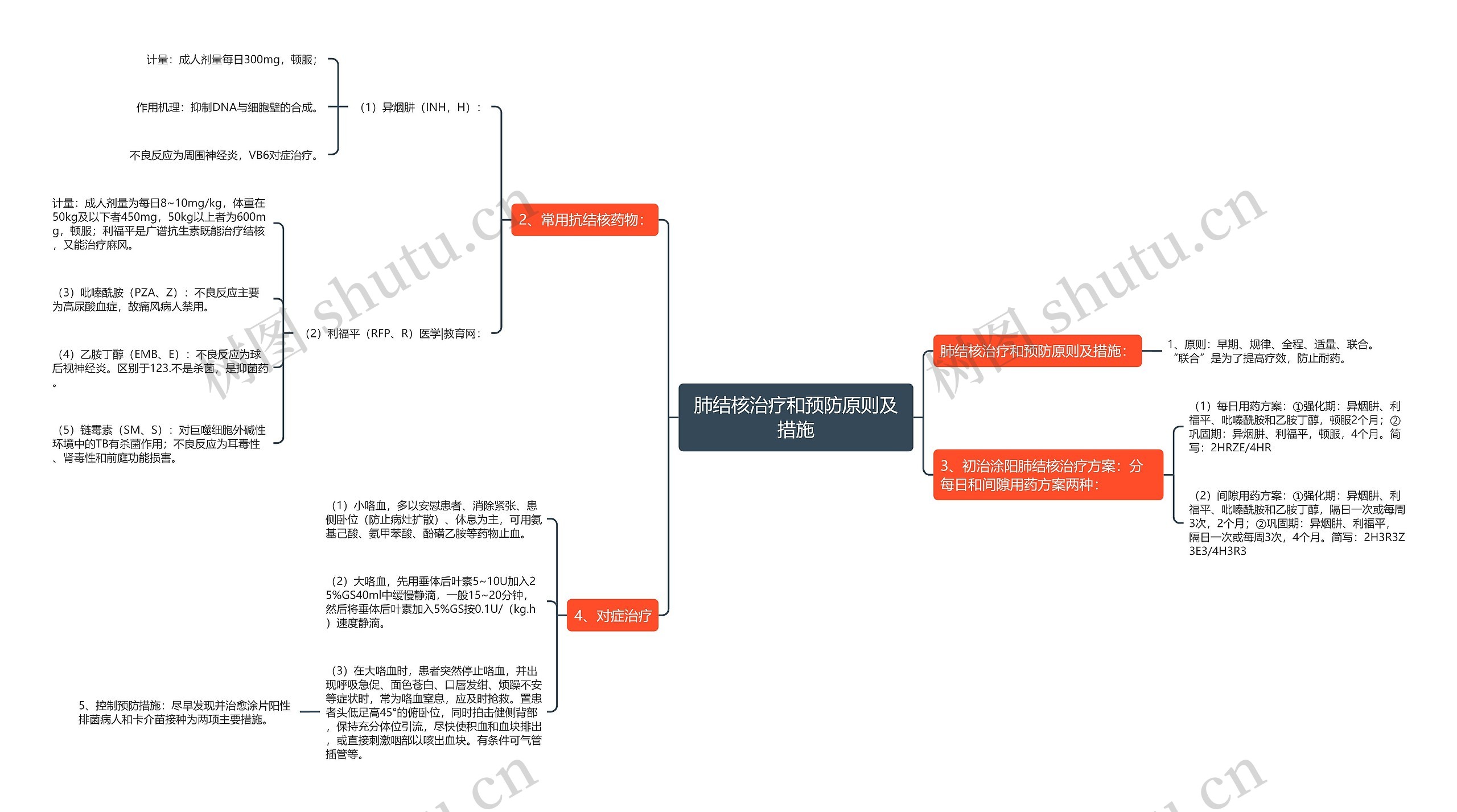 肺结核治疗和预防原则及措施思维导图