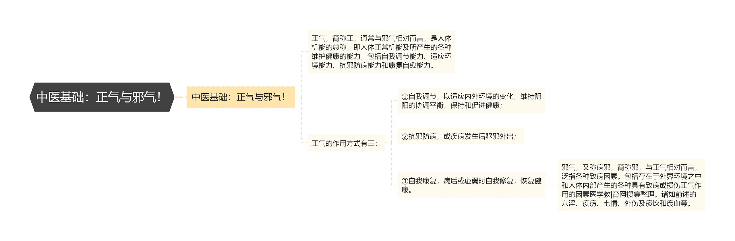 中医基础：正气与邪气！