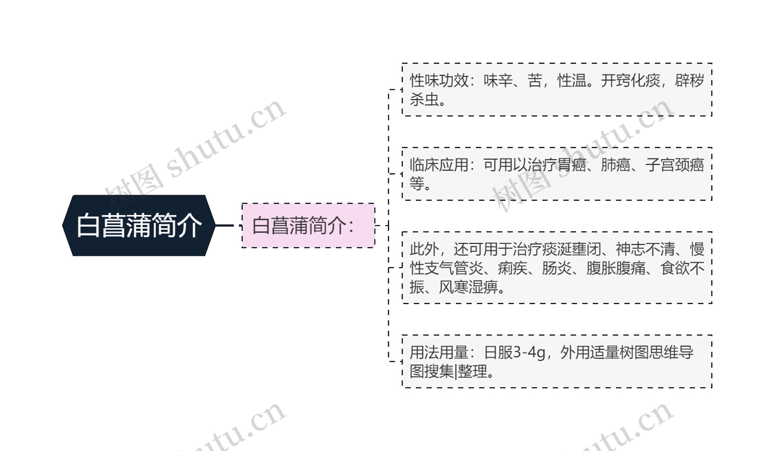 白菖蒲简介思维导图