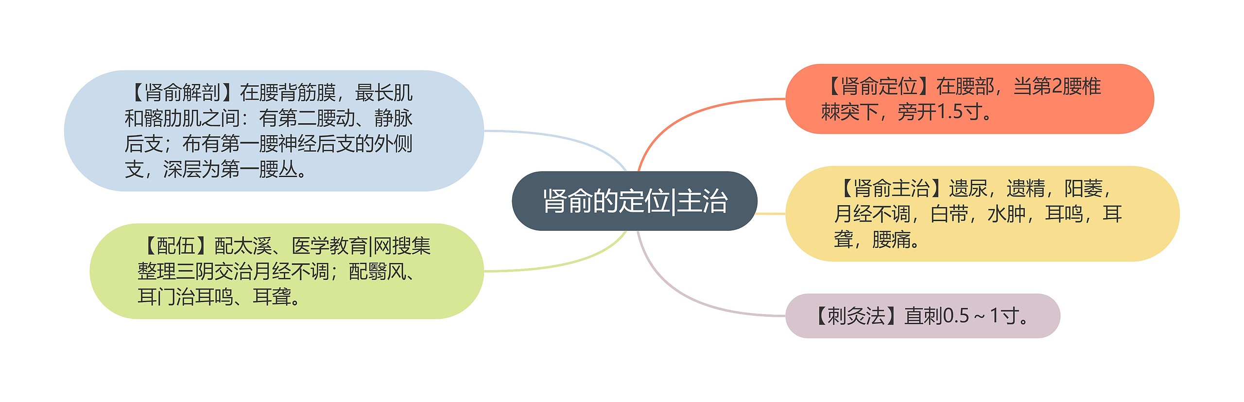 肾俞的定位|主治