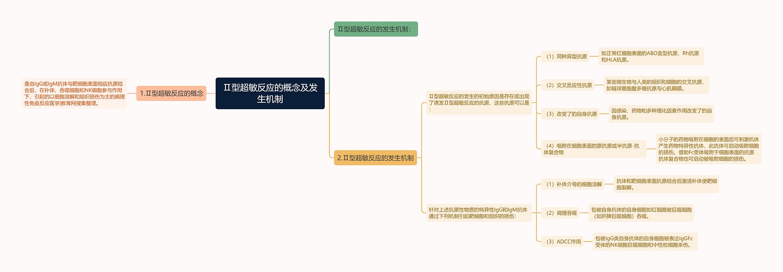 Ⅱ型超敏反应的概念及发生机制思维导图