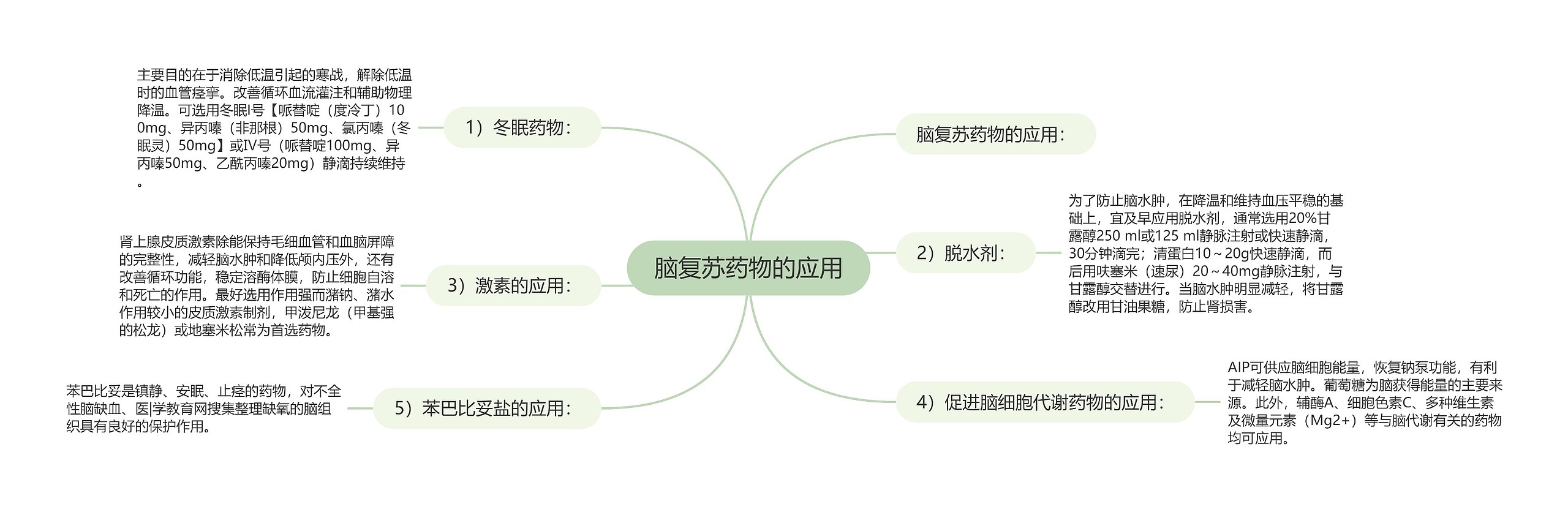 脑复苏药物的应用思维导图