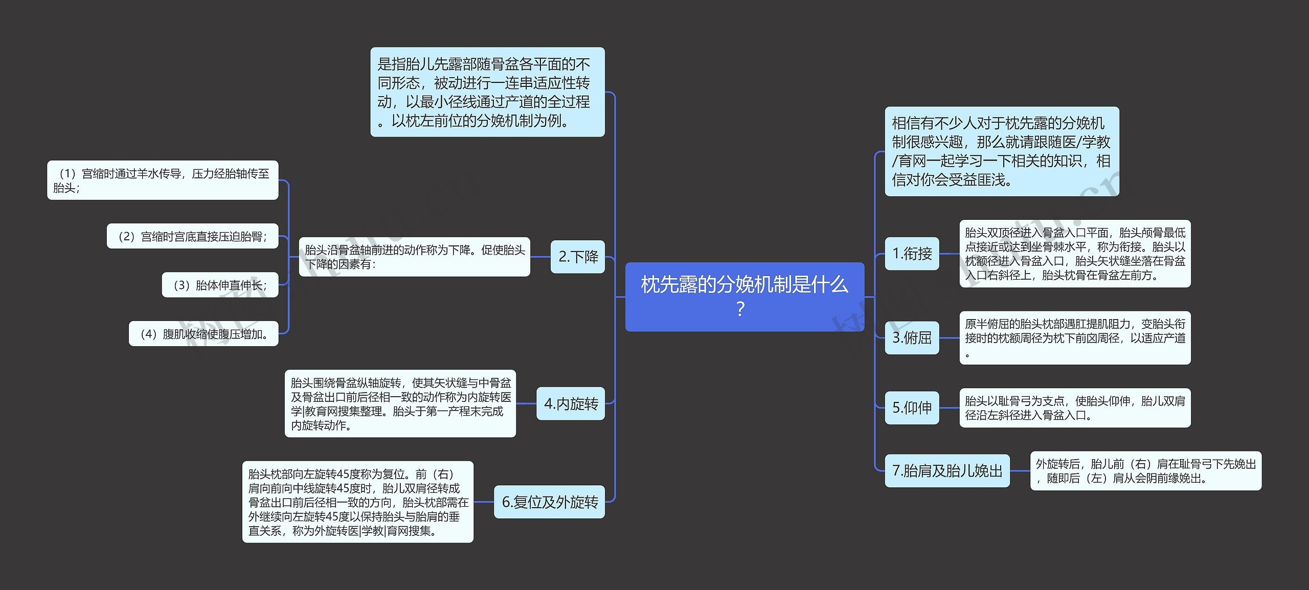 枕先露的分娩机制是什么？思维导图