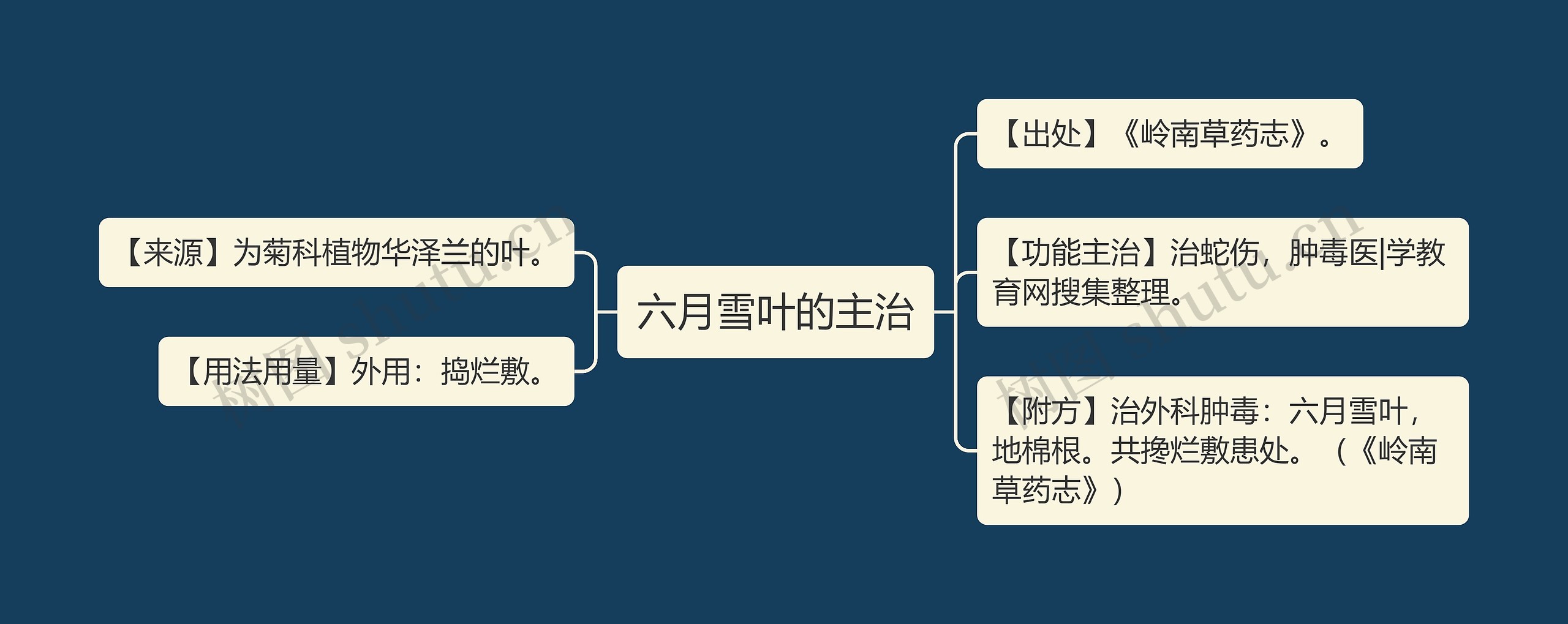 六月雪叶的主治思维导图