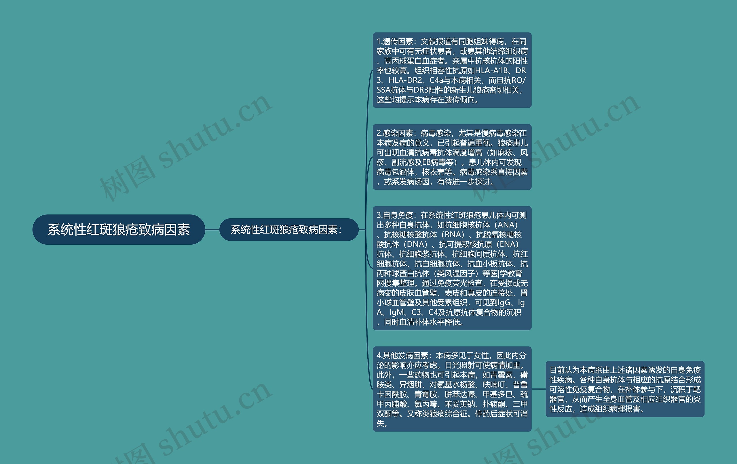 系统性红斑狼疮致病因素思维导图