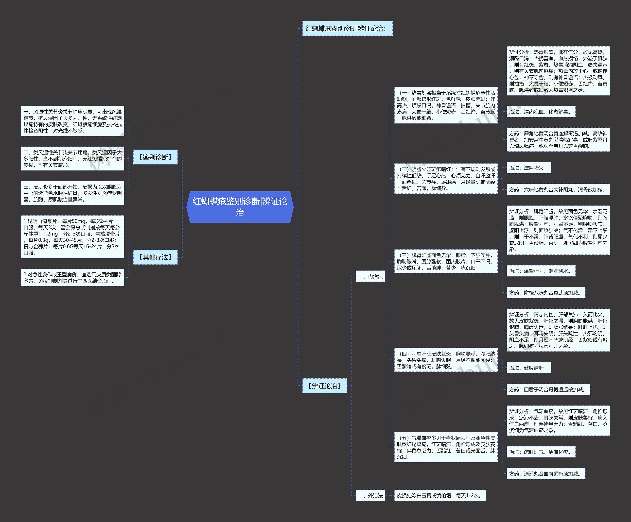 红蝴蝶疮鉴别诊断|辨证论治思维导图