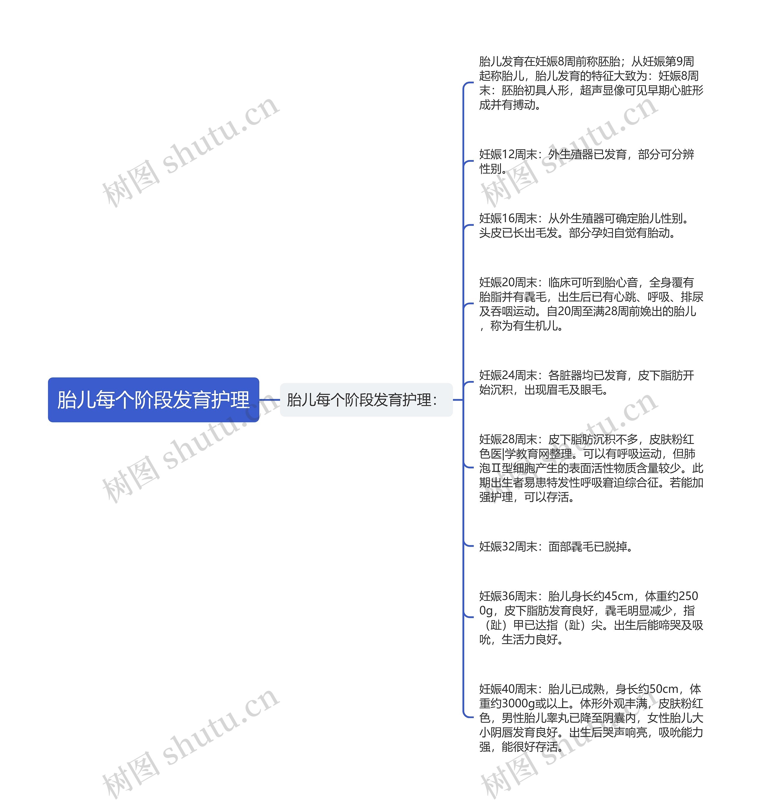 胎儿每个阶段发育护理思维导图